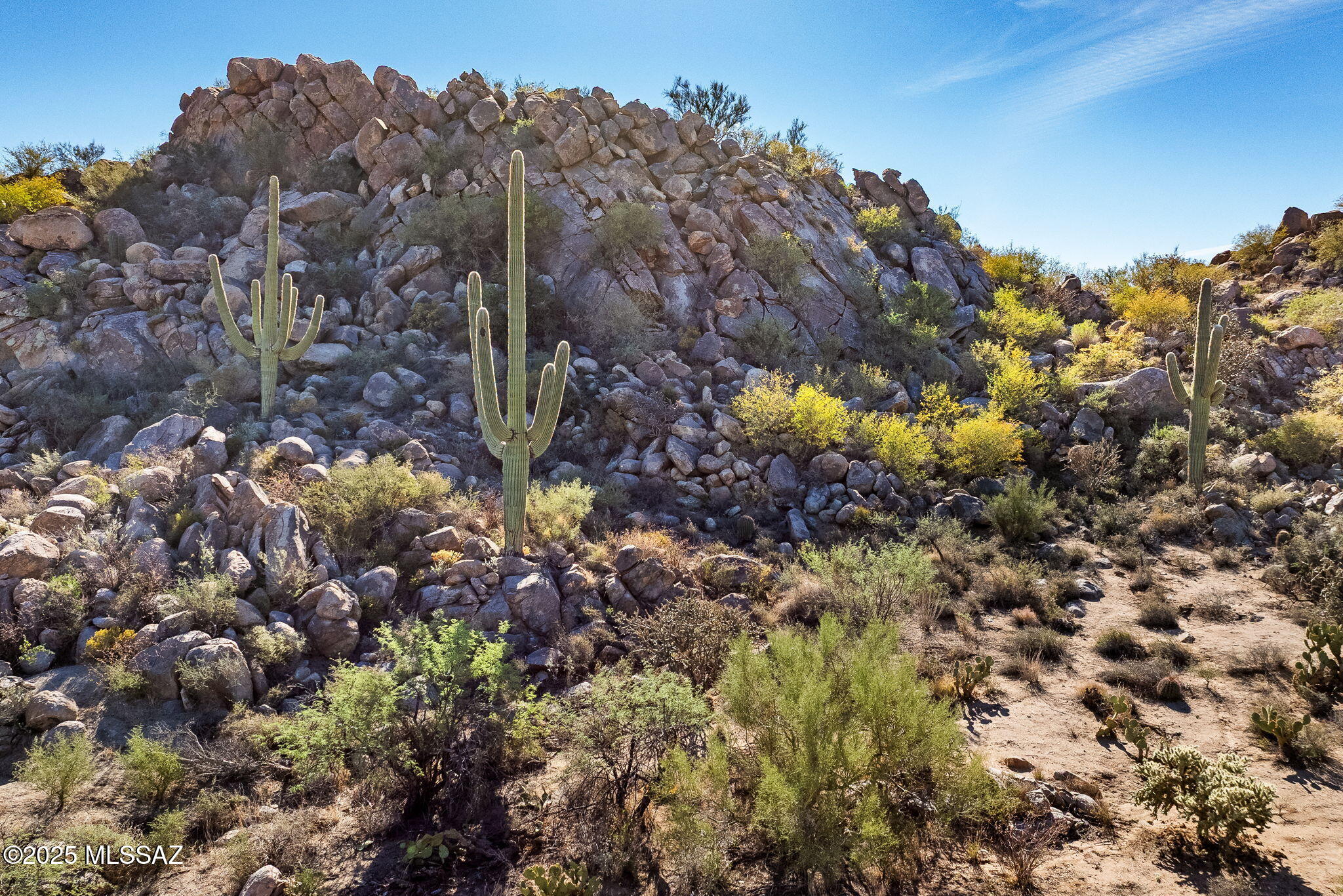 Stone Canyon IV - Land