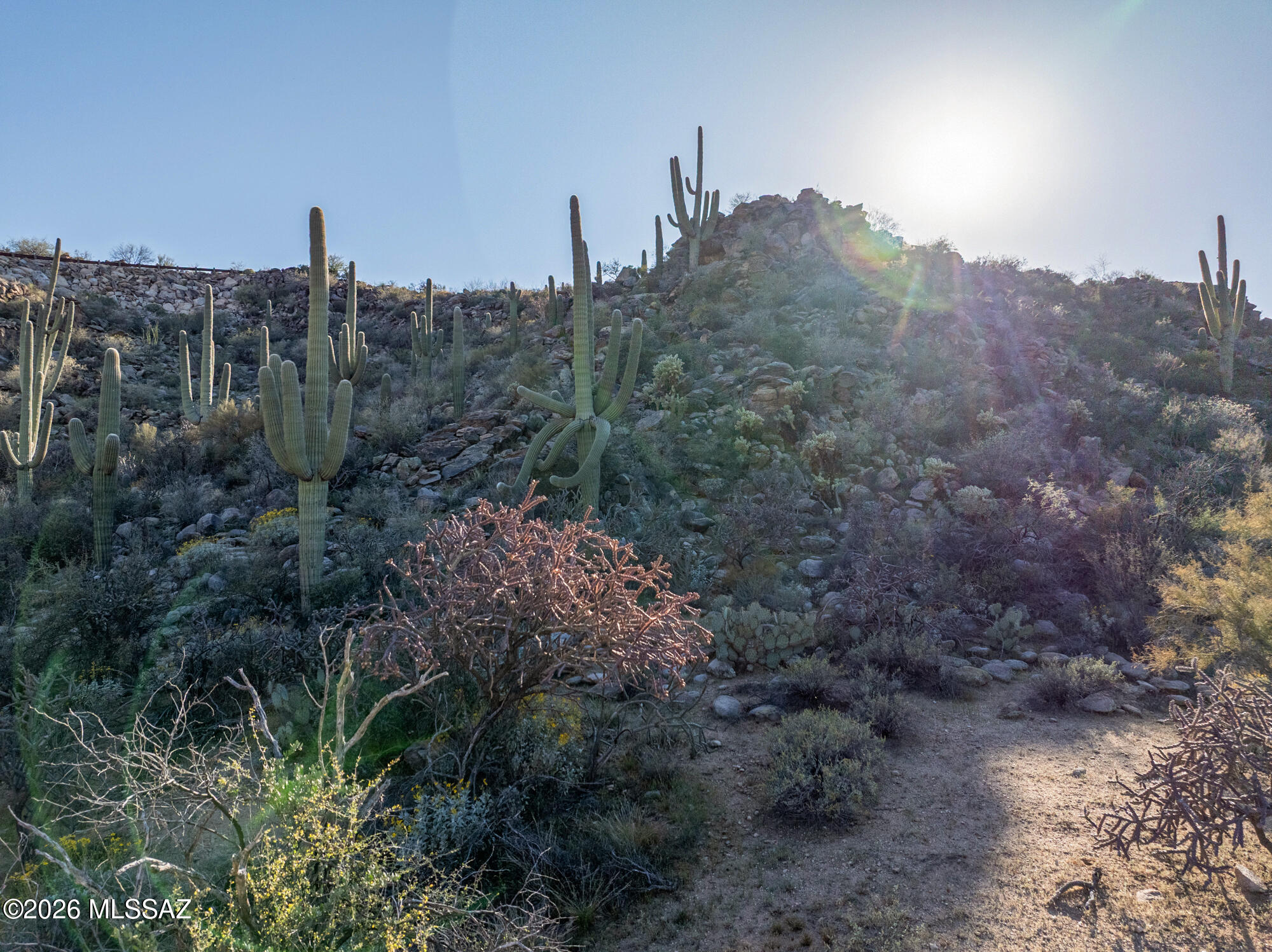 Saguaro Ranch South Amended - Residential