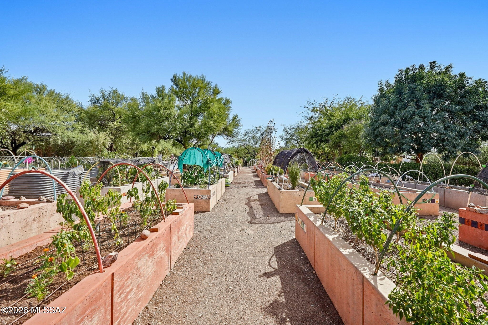 Green Valley Desert Meadows NO.1(1-198) - Residential