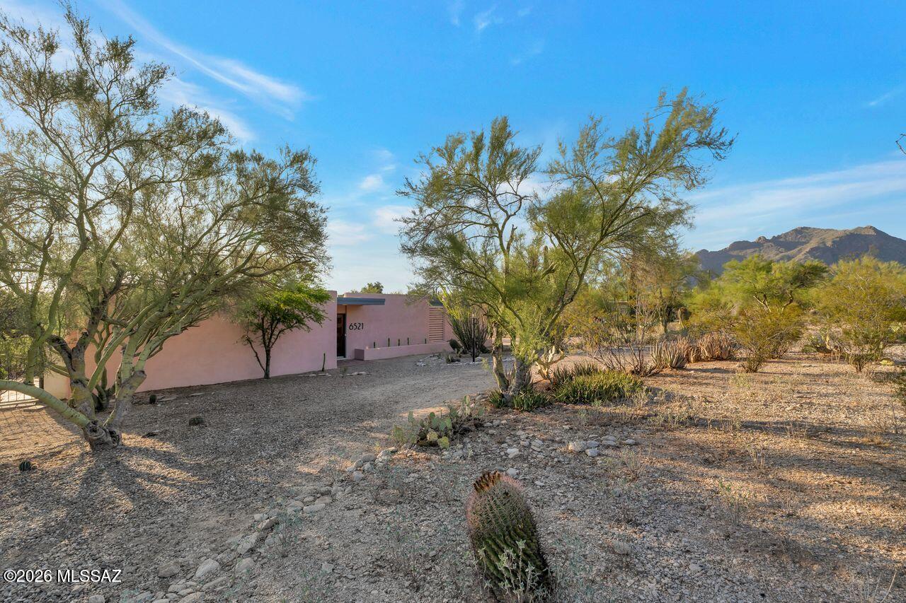 Santa Catalina Estates NO. 4 (1-180) - Residential