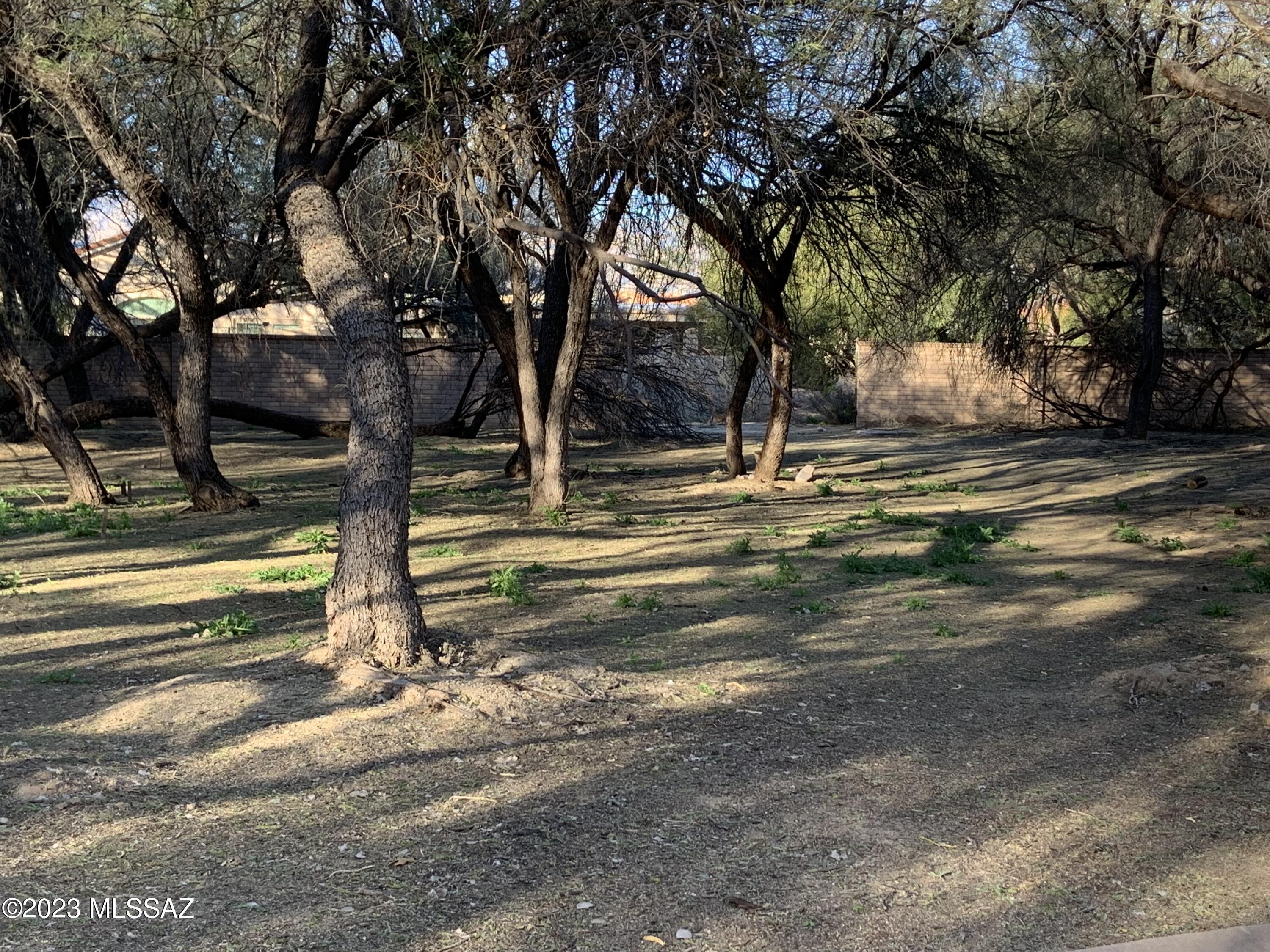 River Forest (1-20) - Land