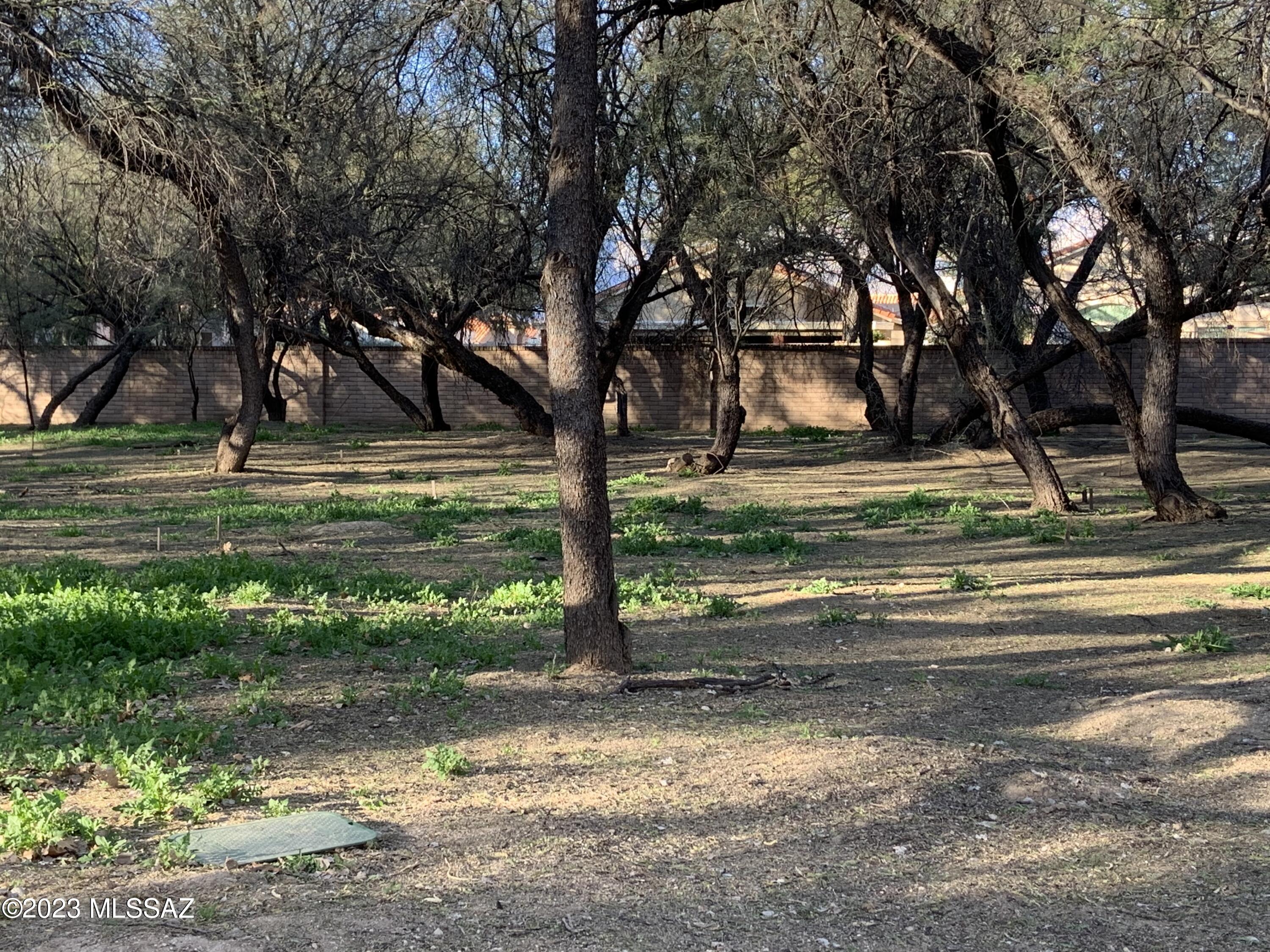 River Forest (1-20) - Land