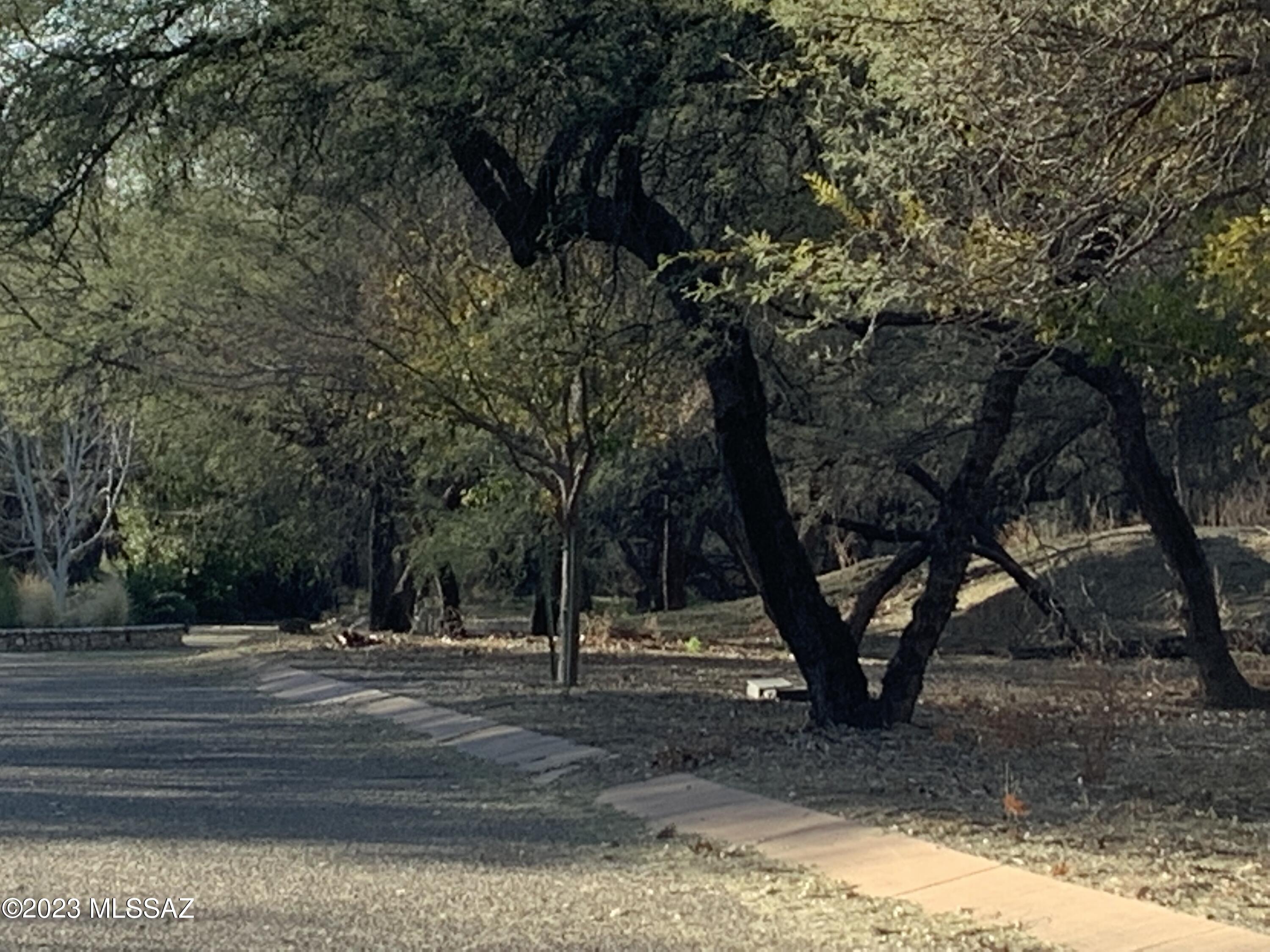 This one third of an acre lot is nestled in a forest of large mesquite trees. It was created back in 1998 thru a City of Tucson rezoning. The uniqueness of the property is preserved thru the native plant preservation plan, design guidelines and CC&R's. The two newer homes suggest a community value for a new home of $800k. This is your opportunity to work with a custom builder and/or architect to create a home reflecting all of innovations and design features currently being used in 2026. The location is just minutes from shopping, Udall Park and boarders the Rillito loop bike trail.