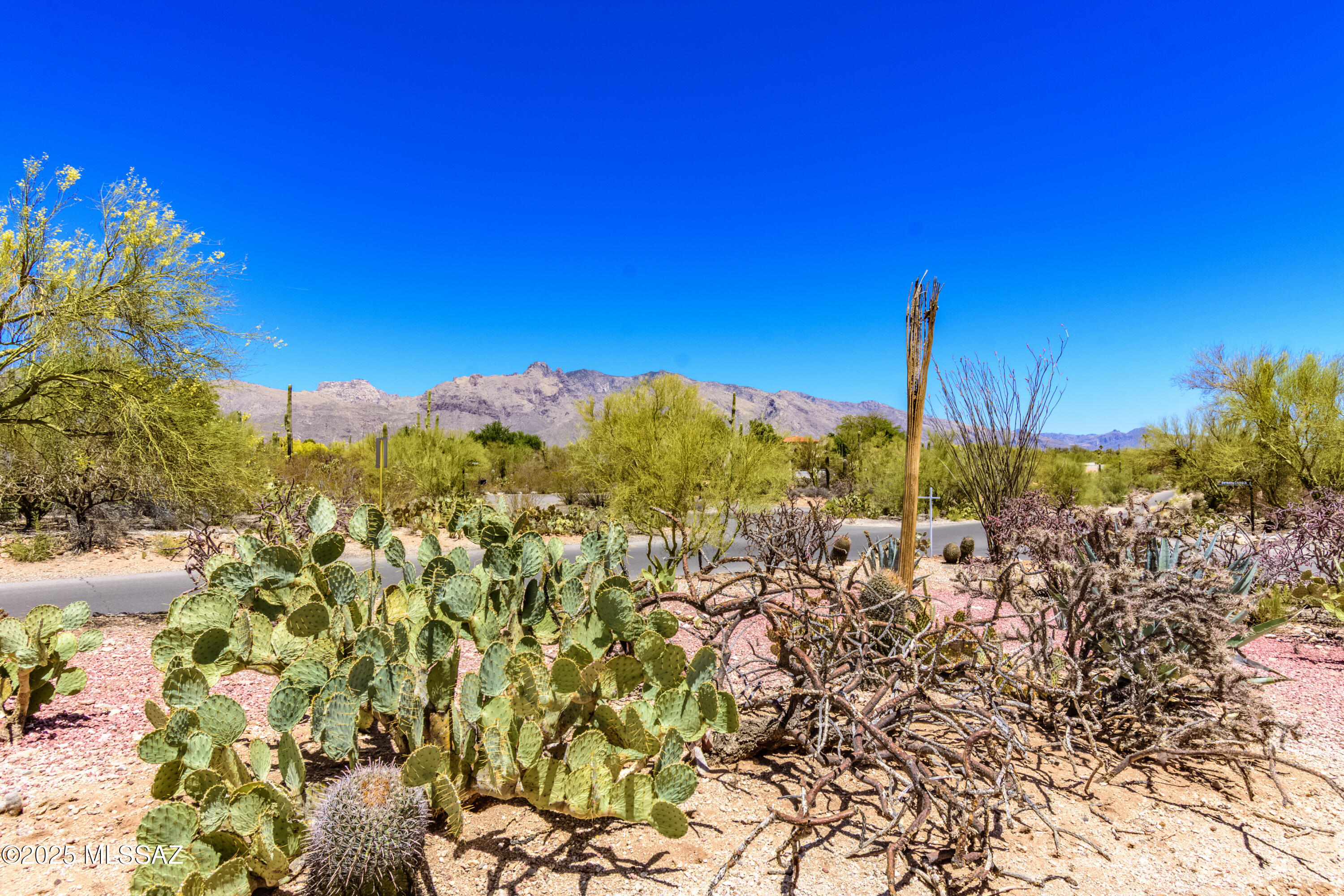 Catalina Foothills Estates NO. 7 (250-314) - Residential