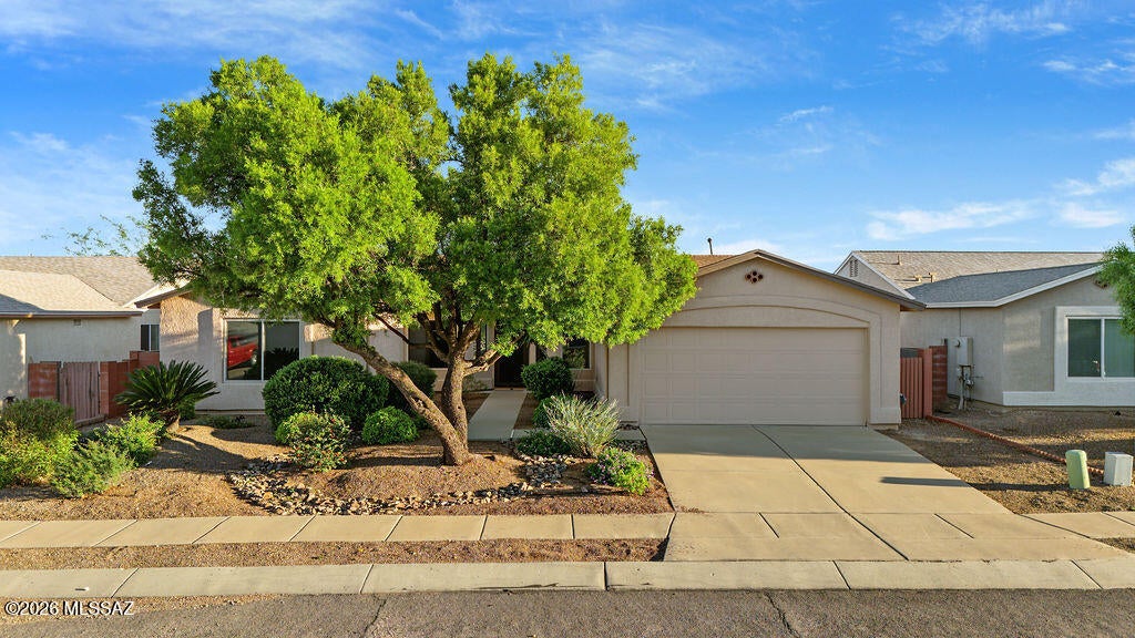 Sunrise Meadow At Rita Ranch (1-135) - Residential