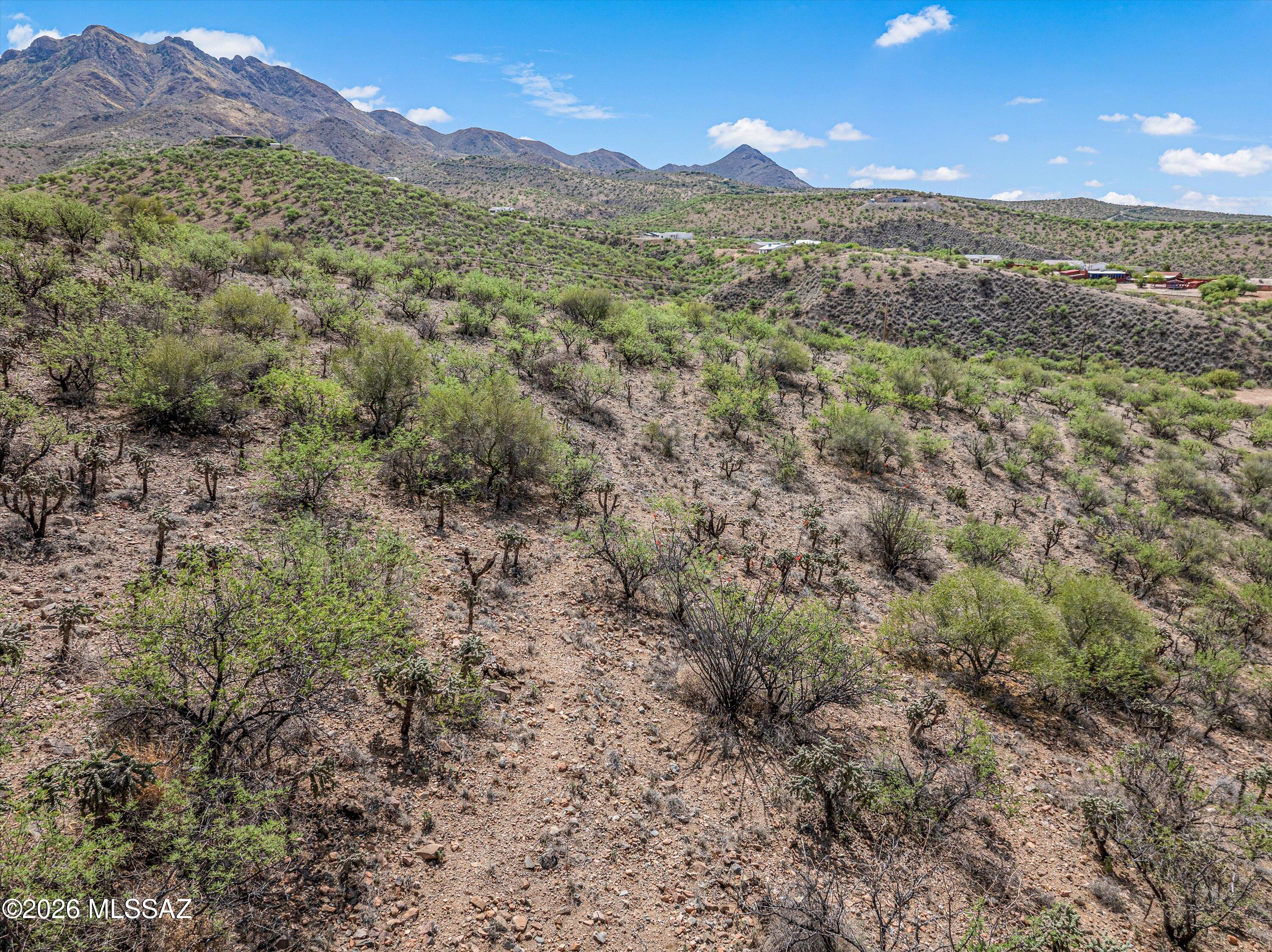Rio Rico Ranchettes 17 - Land