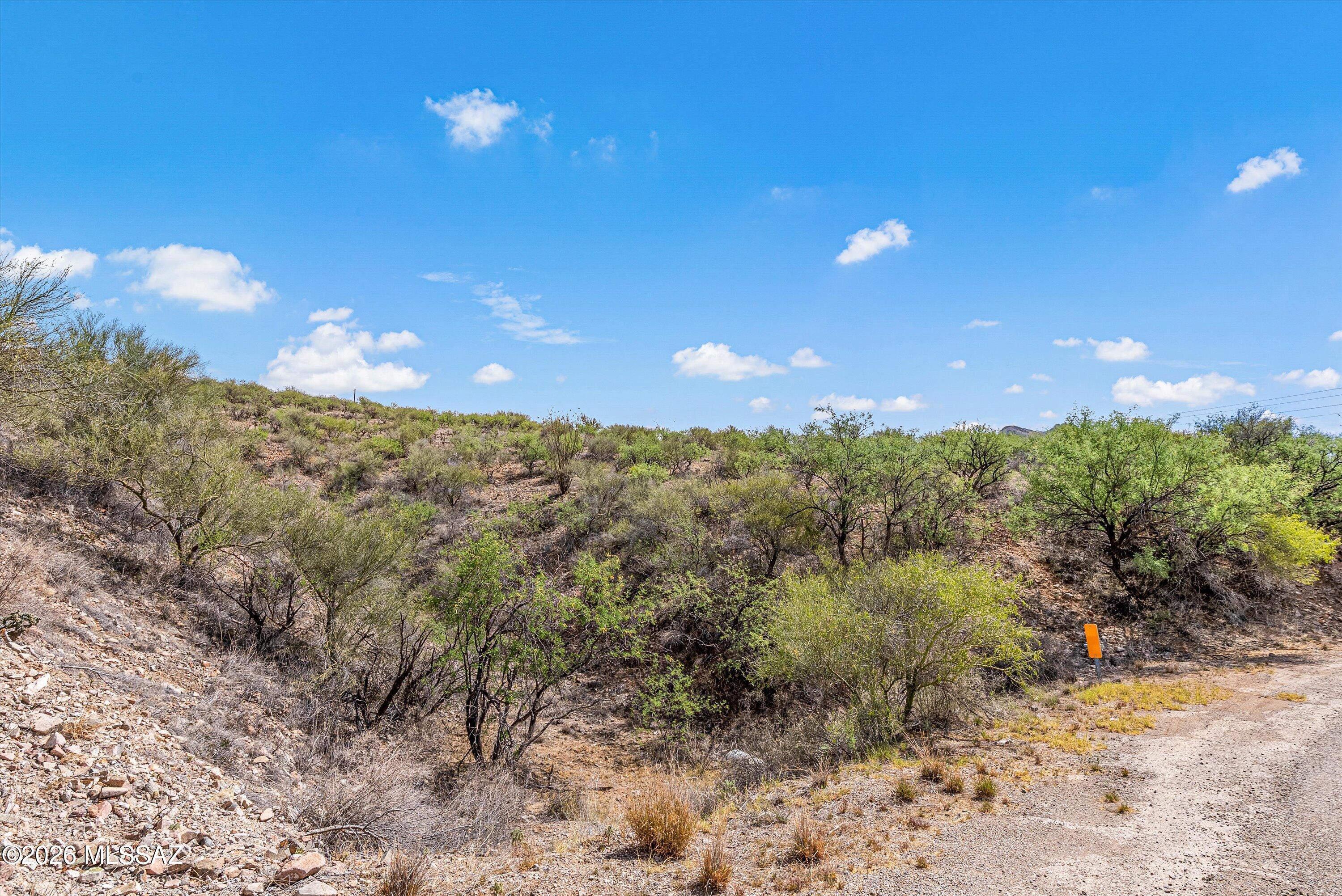 Rio Rico Ranchettes 17 - Land