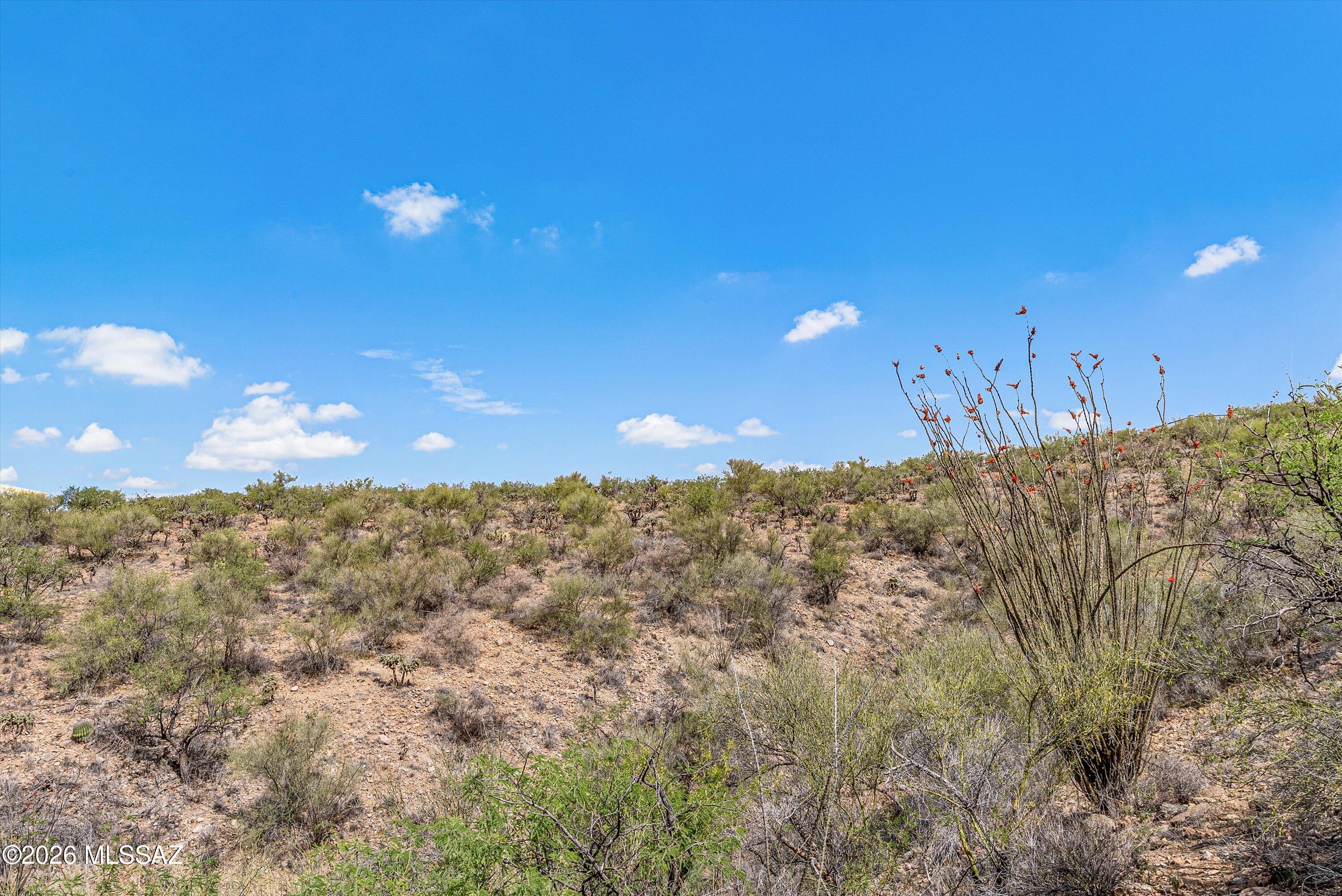 Rio Rico Ranchettes 17 - Land