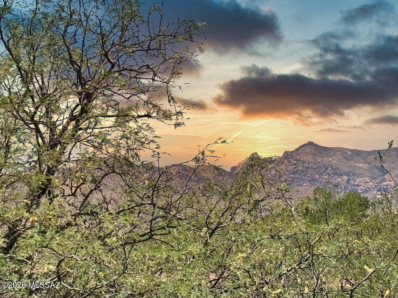 4.45 Acre lot with NO Restrictions. Zoned RU-4. Great for Opt out building. Good access. Heavily treed lot. Can make a long winding driveway up into the lot for lots of privacy! Not too far out of town. Good mountain and panoramic views. Enjoy lots of Wineries in this area, Hiking in the Cochise Stronghold, Off-Roading, Rock Climbing and Beautiful Sunsets! Days and nights are much cooler here than Tucson. Dark Skies for star gazing. Neighboring home uses Solar. Will need a septic system and well or you can have water storage tanks and have your water delivered which is very common here. Manufactured homes, Tiny homes and Container homes are also OK here.