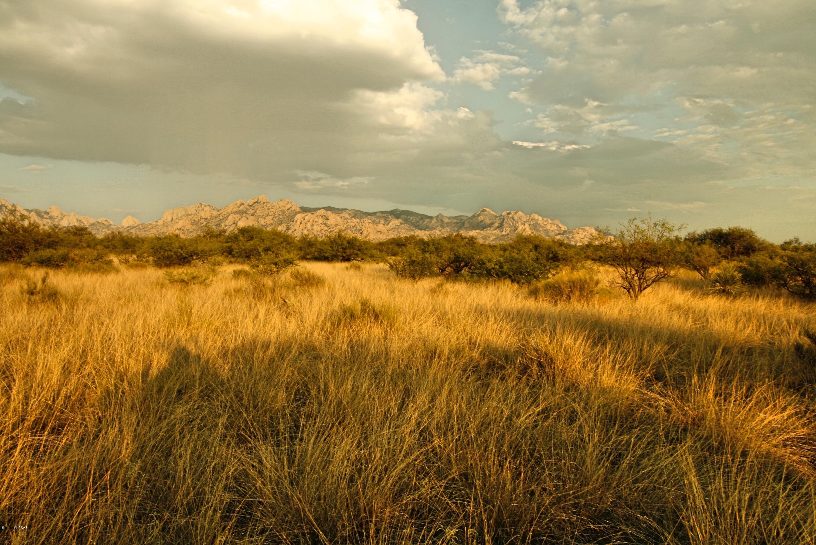 Dragoon Mountain Ranch - Land