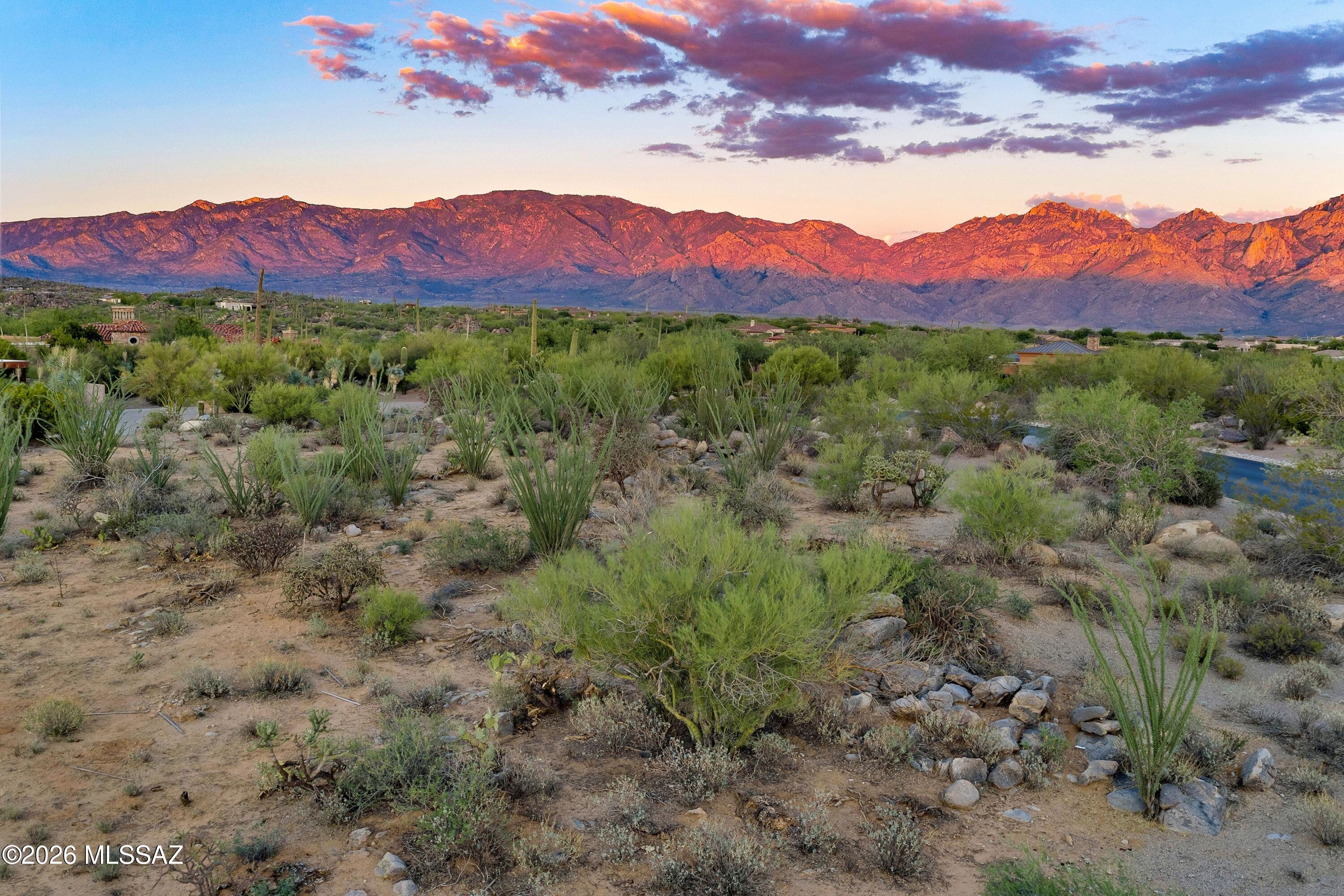 Stone Canyon VI - Land