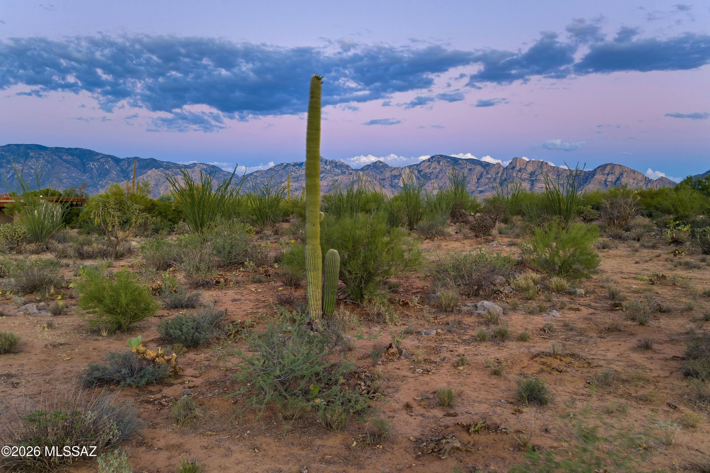 Stone Canyon VI - Land