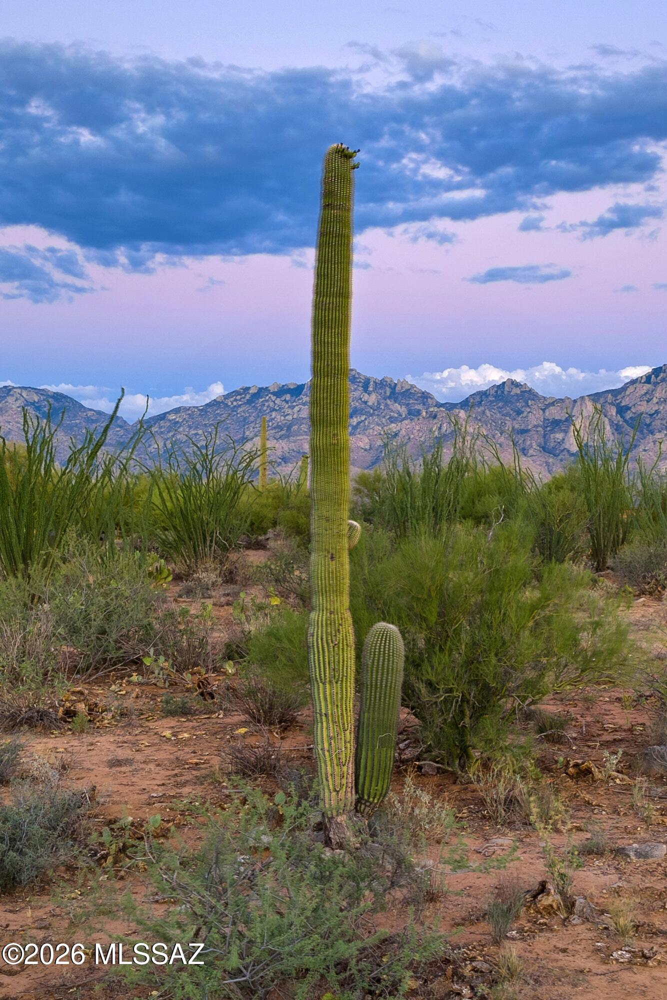 Stone Canyon VI - Land