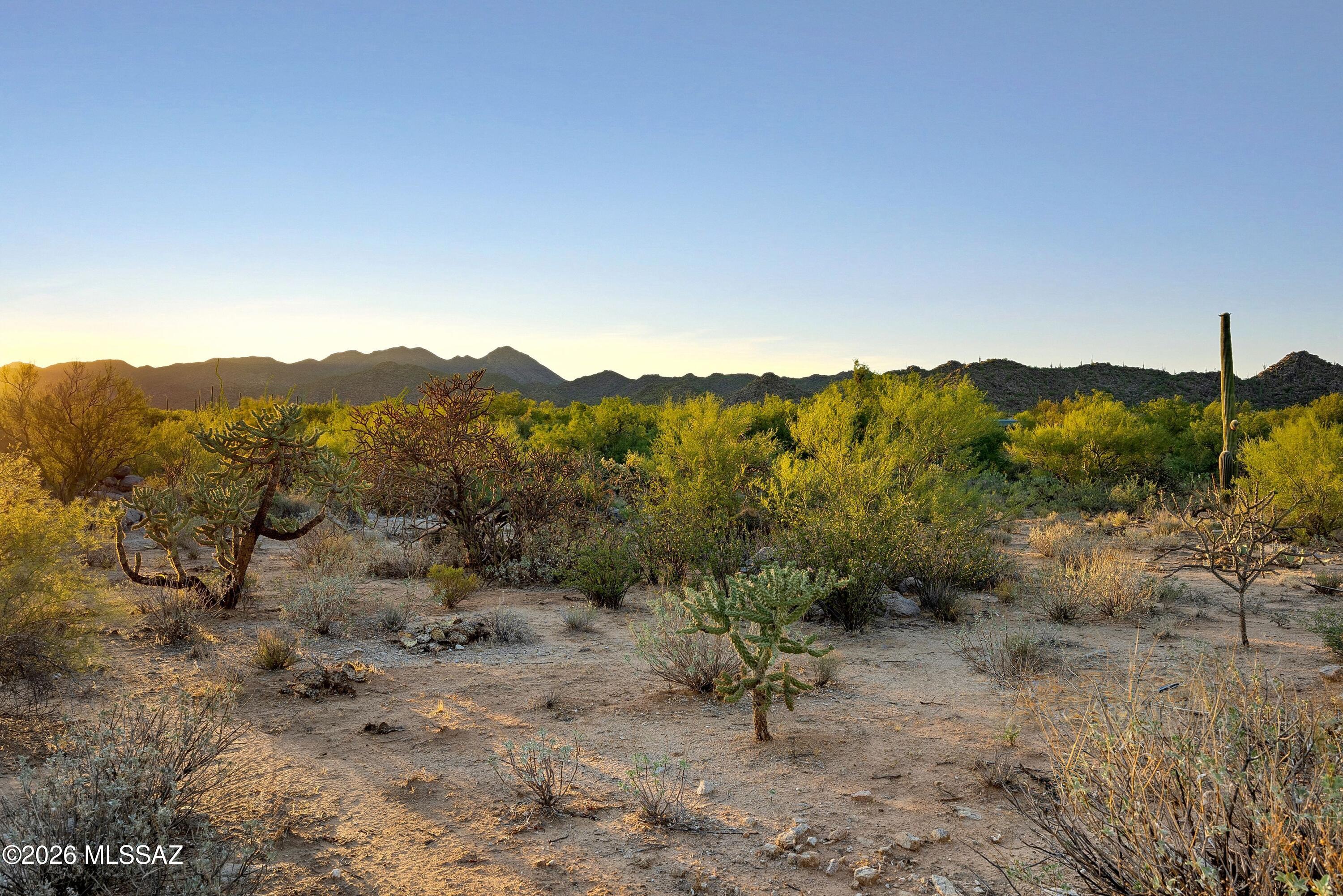 Stone Canyon VI - Land