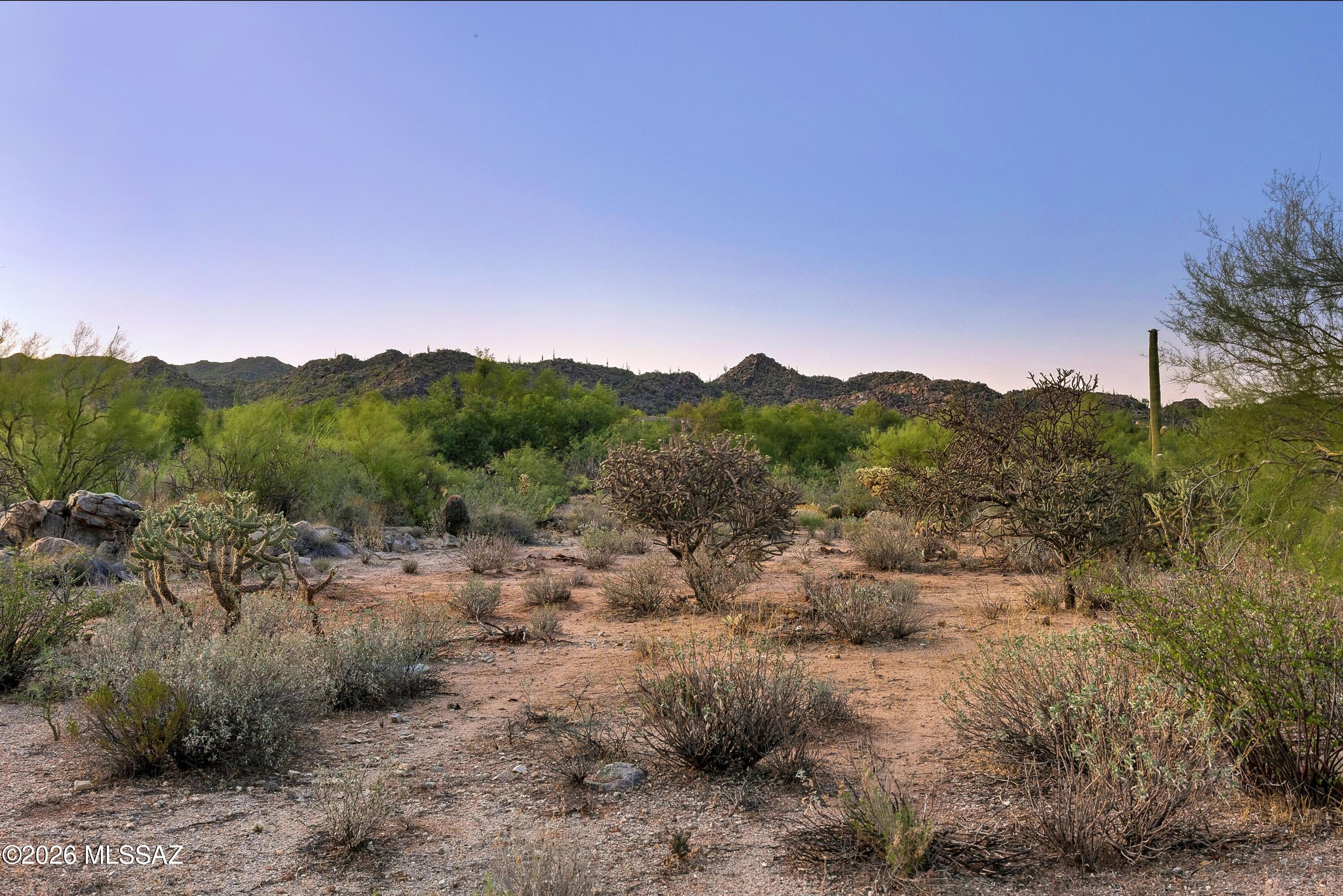 Stone Canyon VI - Land