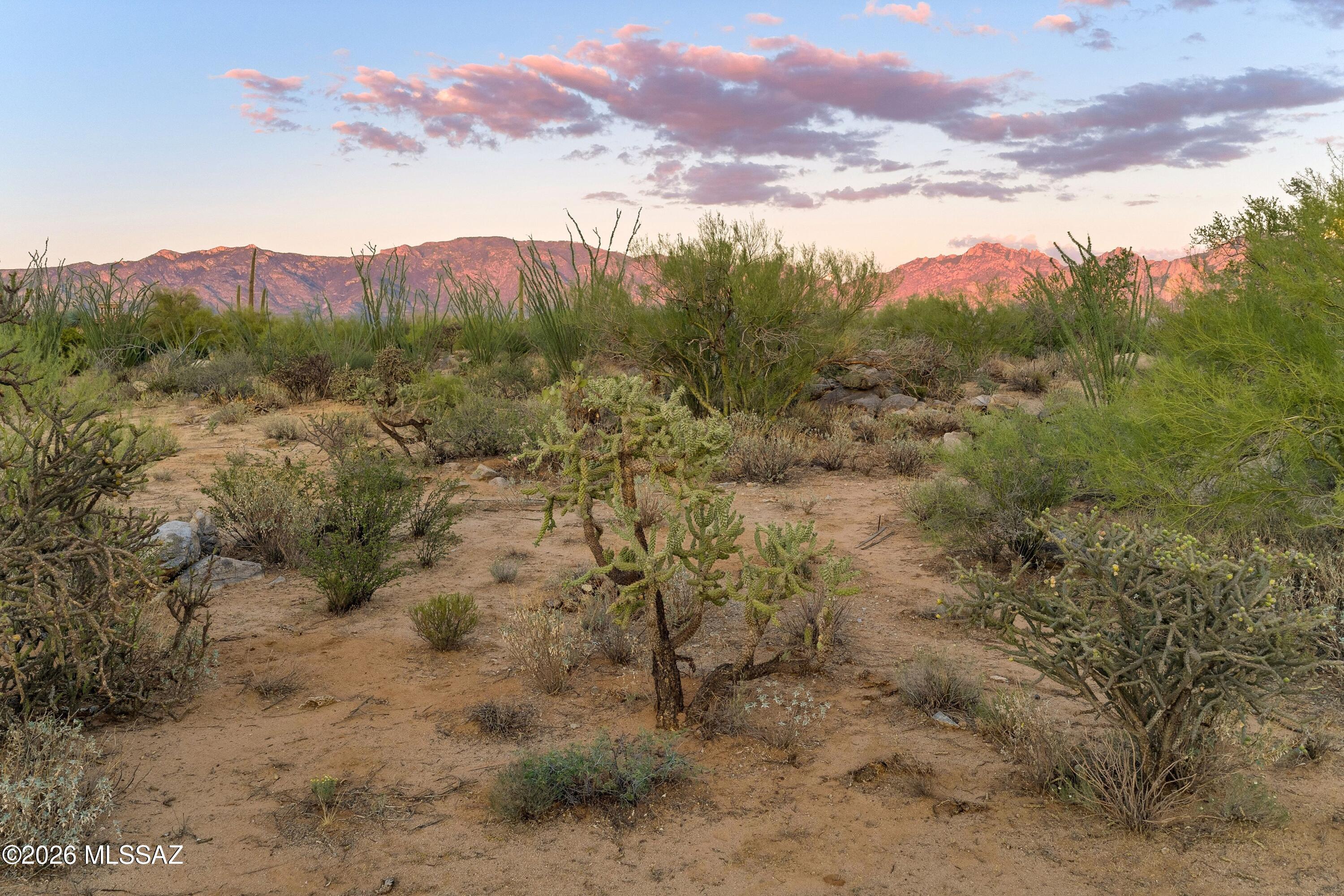 Stone Canyon VI - Land