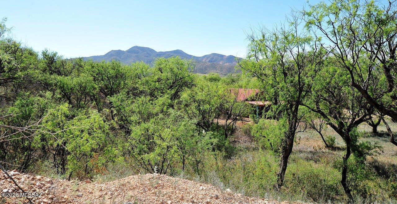 Southern Arizona paradise opportunity at the edge of Patagonia town limits. This .62-acre parcel features a blend of gently sloped terrain and flat land--ideal for a custom main residence with potential views and guest homes/outbuildings below. Survey is complete with utilities near the property line. Concept drawings (not finalized plans) showcase the sellers' vision and possibilities. Enjoy a cooler climate--often 10-15 degrees below Tucson and even Phoenix--with close proximity to Sonoita, Patagonia Lake State Park, and endless trails for outdoor adventure.