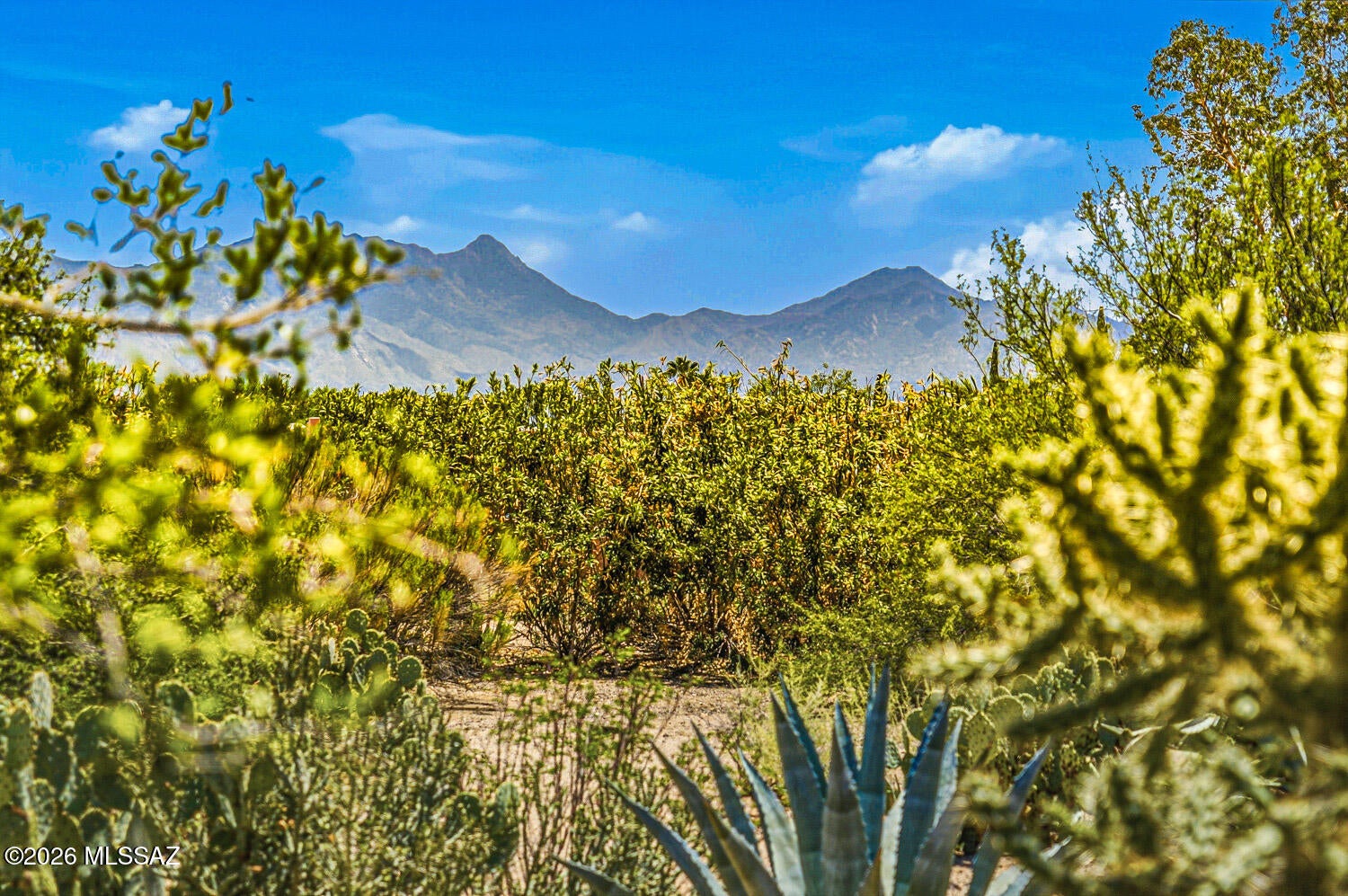 Green Valley Country Club Vistas(1-229) - Residential