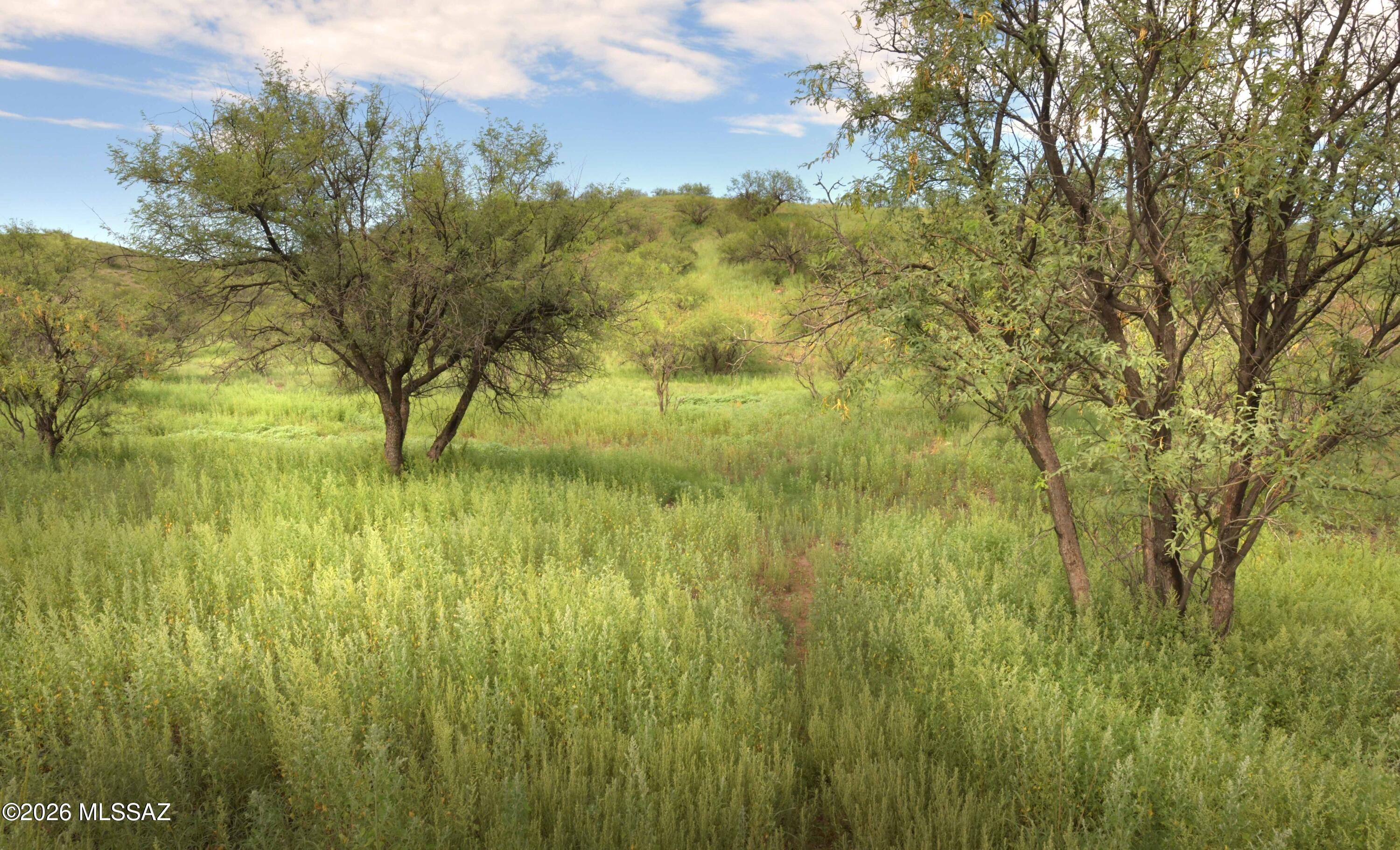 WILDLIFE CORRIDORS is an environmentally thoughtful development in the heart of Southern Arizona's Sky Islands. Recognized by the National Association of Counties for best practices in sustainable projects and programs, Wildlife Haven was designed to protect the land and wildlife while providing an exceptional community lifestyle for its residents. Each parcel is cushioned within a conservation easement, the land will continue to sustain the natural wildlife corridor and migratory bird pathway. If you are longing for tranquility, moderate temperatures, nearby recreational activities, and star-filled night skies, you will appreciate this special development. See: BorderlandsRestoration.org for more information.  New perc test. Architectural drawings avail.