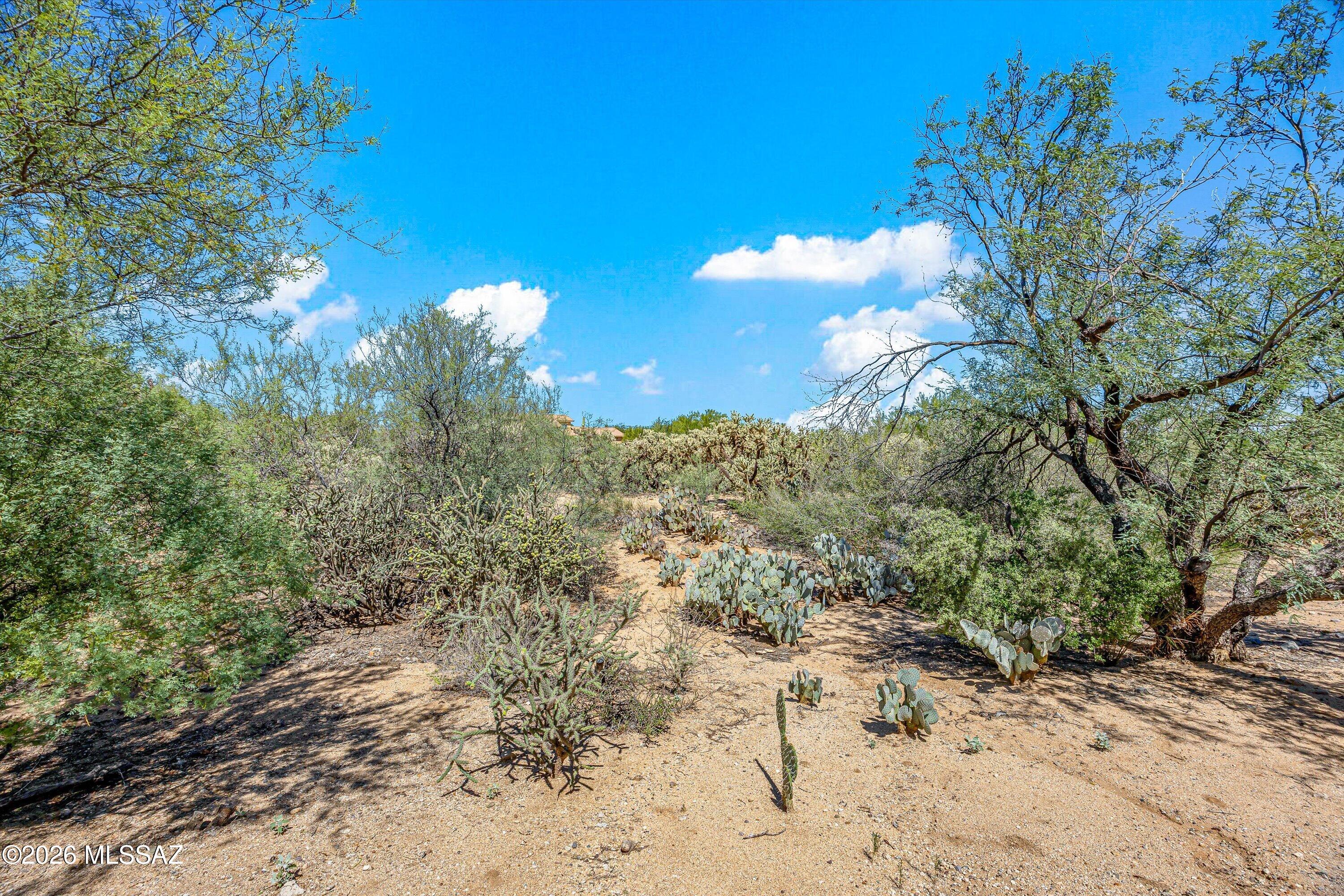 Rancho Buena Vista (1-29) - Residential