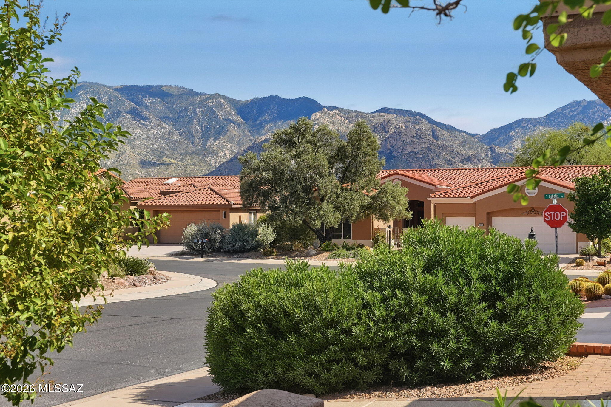 Sun City Vistoso Unit 12(1-277) - Residential