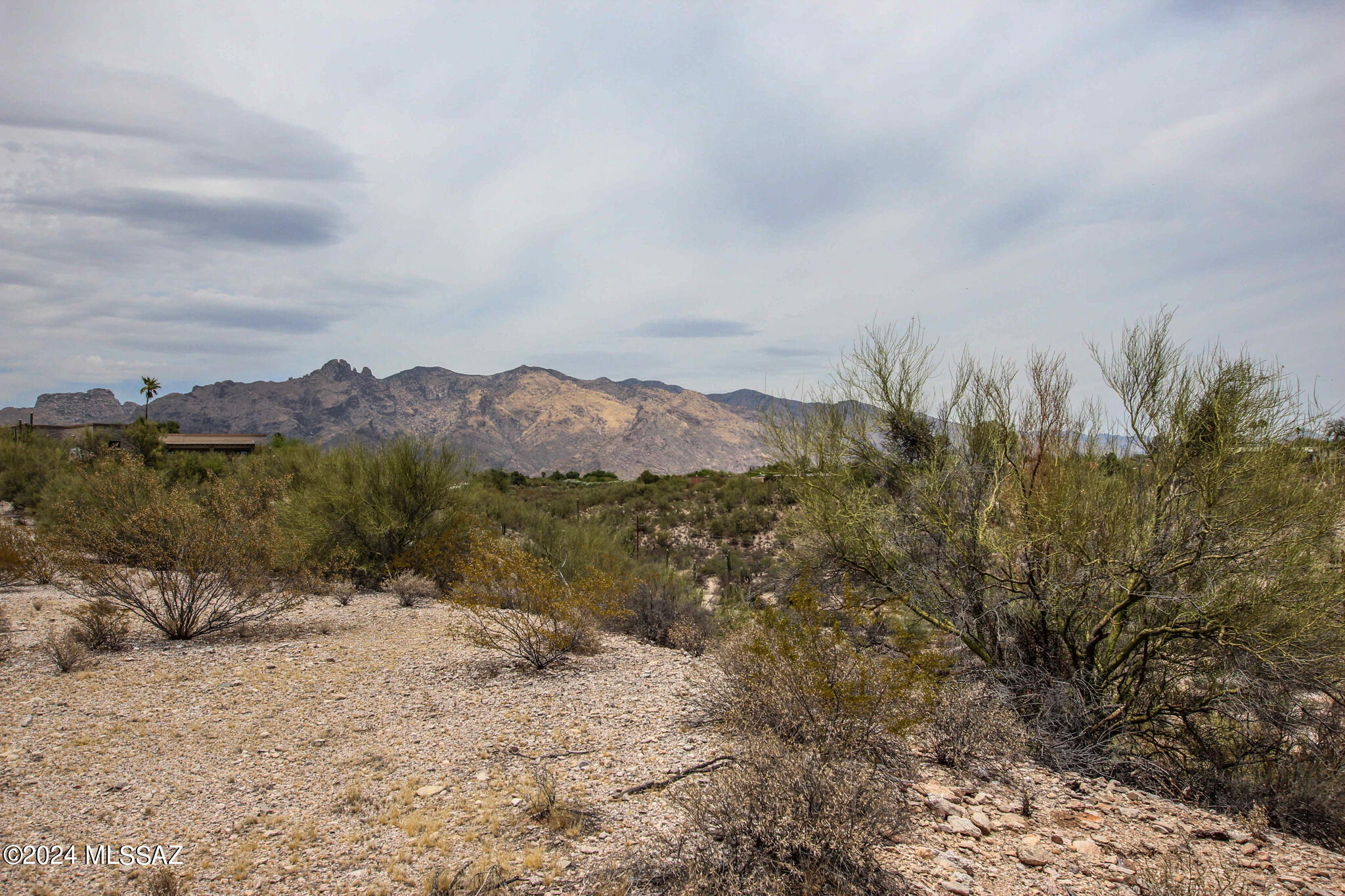 VIEWS!!! This unique, elevated lot offers privacy and breathtaking scenery, with views of the city, surrounding mountains, and picturesque canyons. Located in the desirable Catalina Foothills, this property is equipped with water, sewer, and  electric-perfect for building your dream home. With no HOA or CC&Rs, the possibilities are endless. Ideal for horse enthusiasts, this property provides riding opportunities and space for horse facilities. Enjoy the convenience of being minutes from shopping, restaurants, and entertainment. Seize the chance to build your custom oasis in a truly unbeatable location!