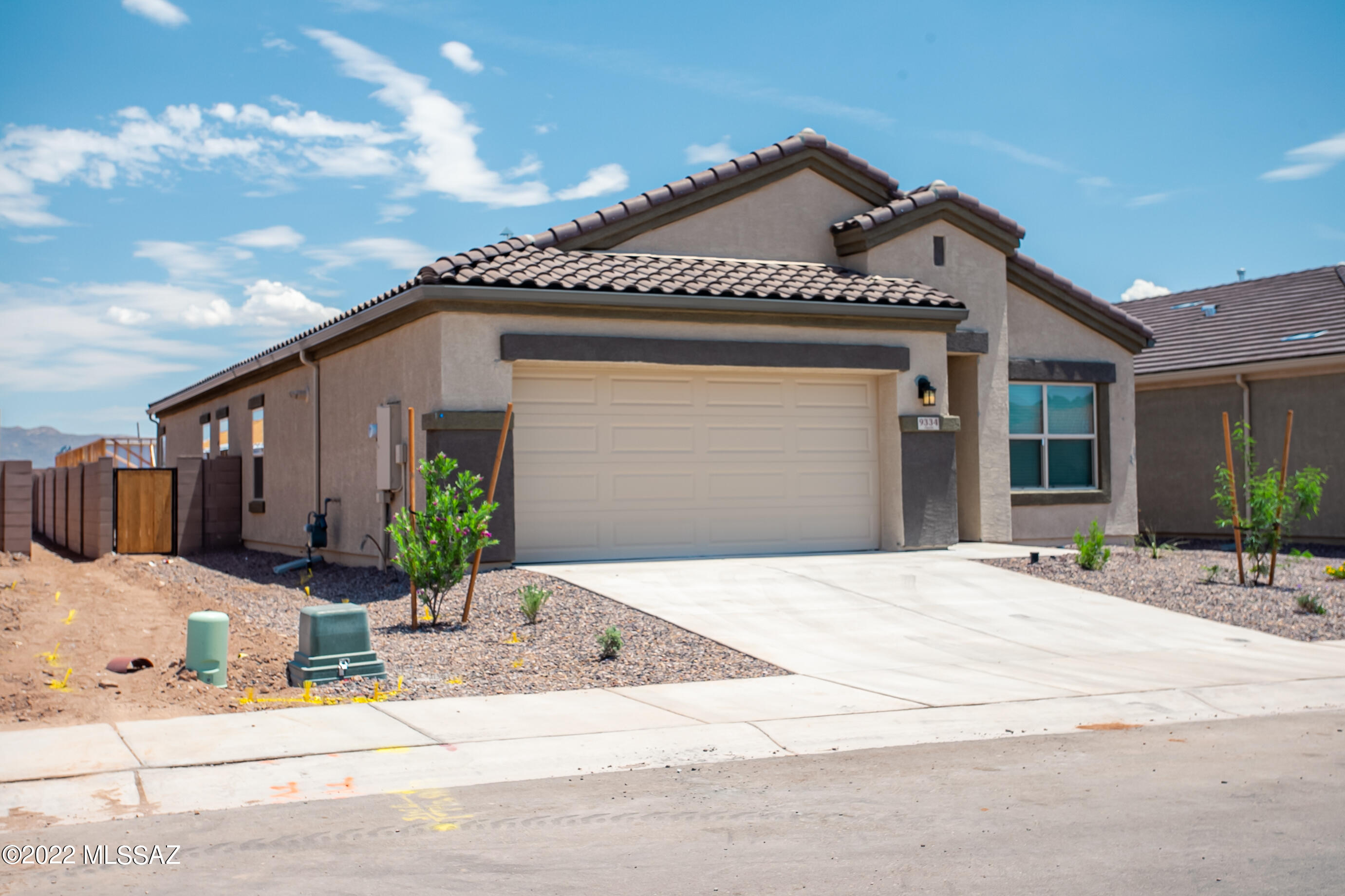 Saguaro Bloom SQ20180540069 - Residential
