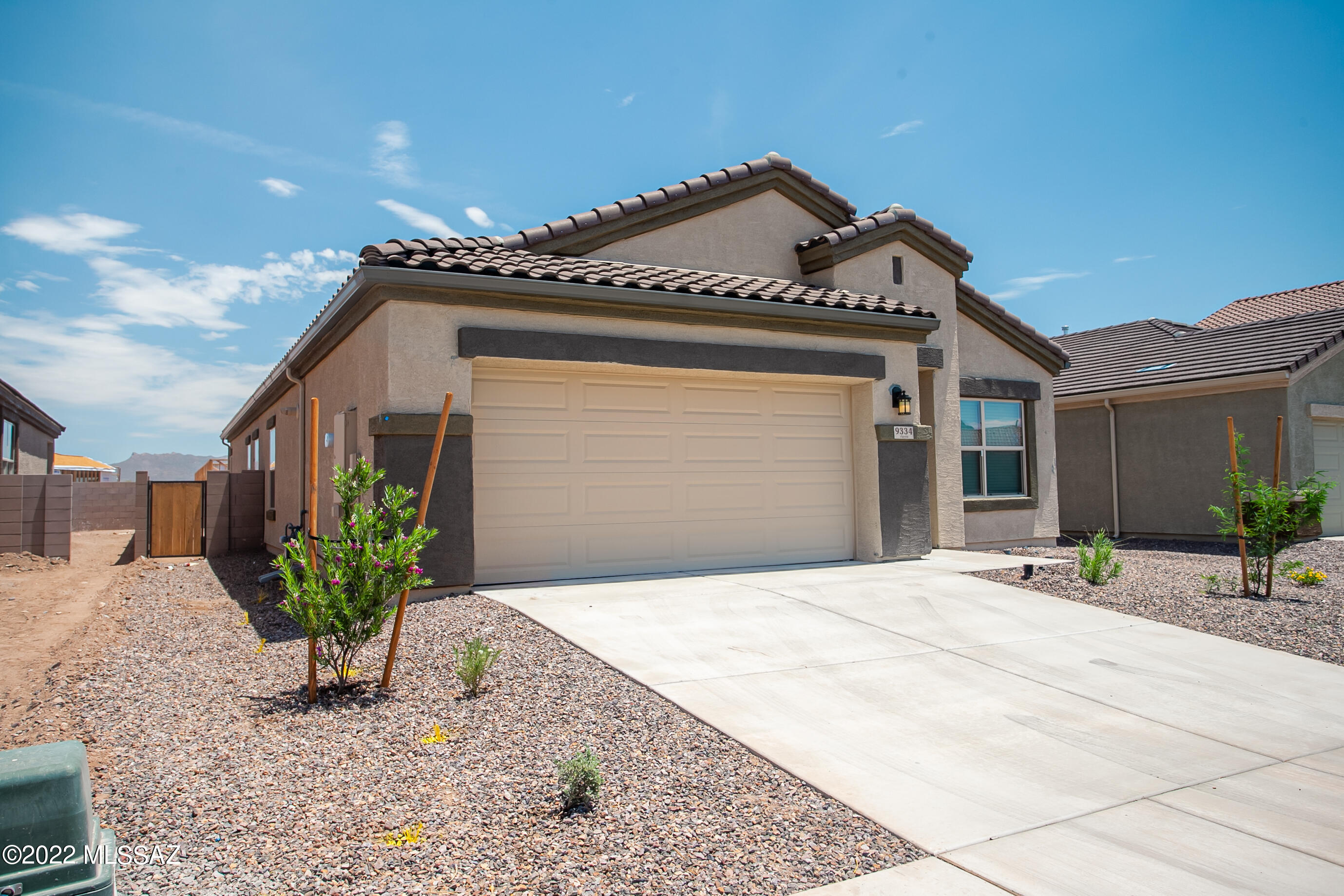 Saguaro Bloom SQ20180540069 - Residential
