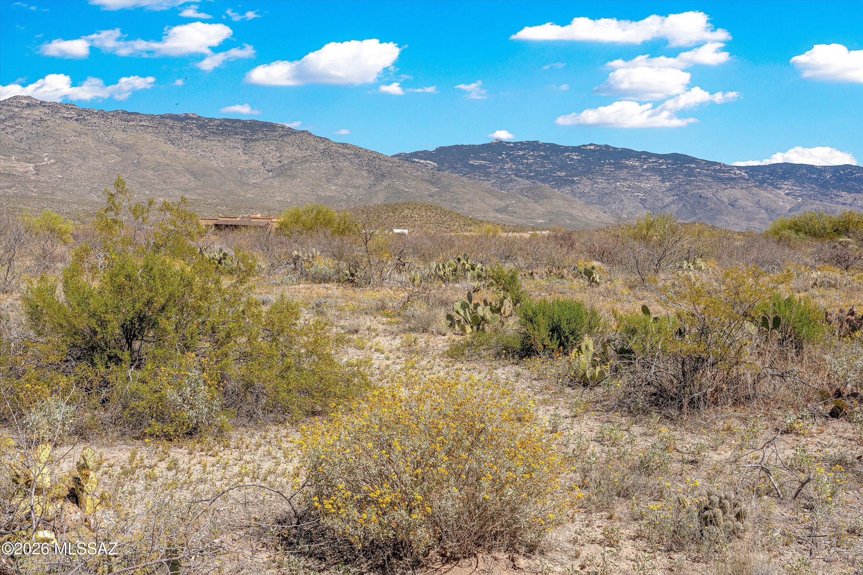 Coyote Creek (1-395) - Land
