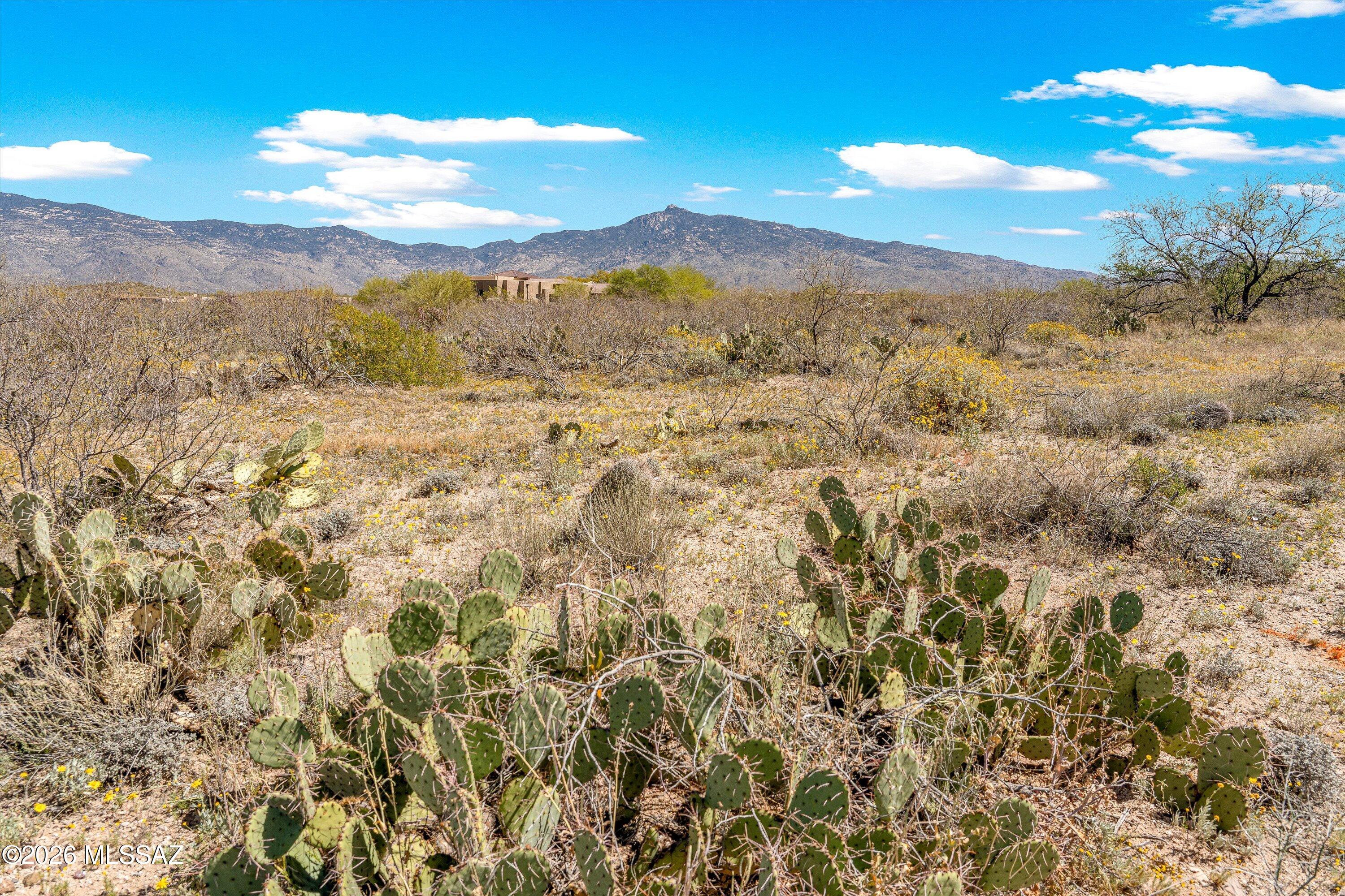 Coyote Creek (1-395) - Land