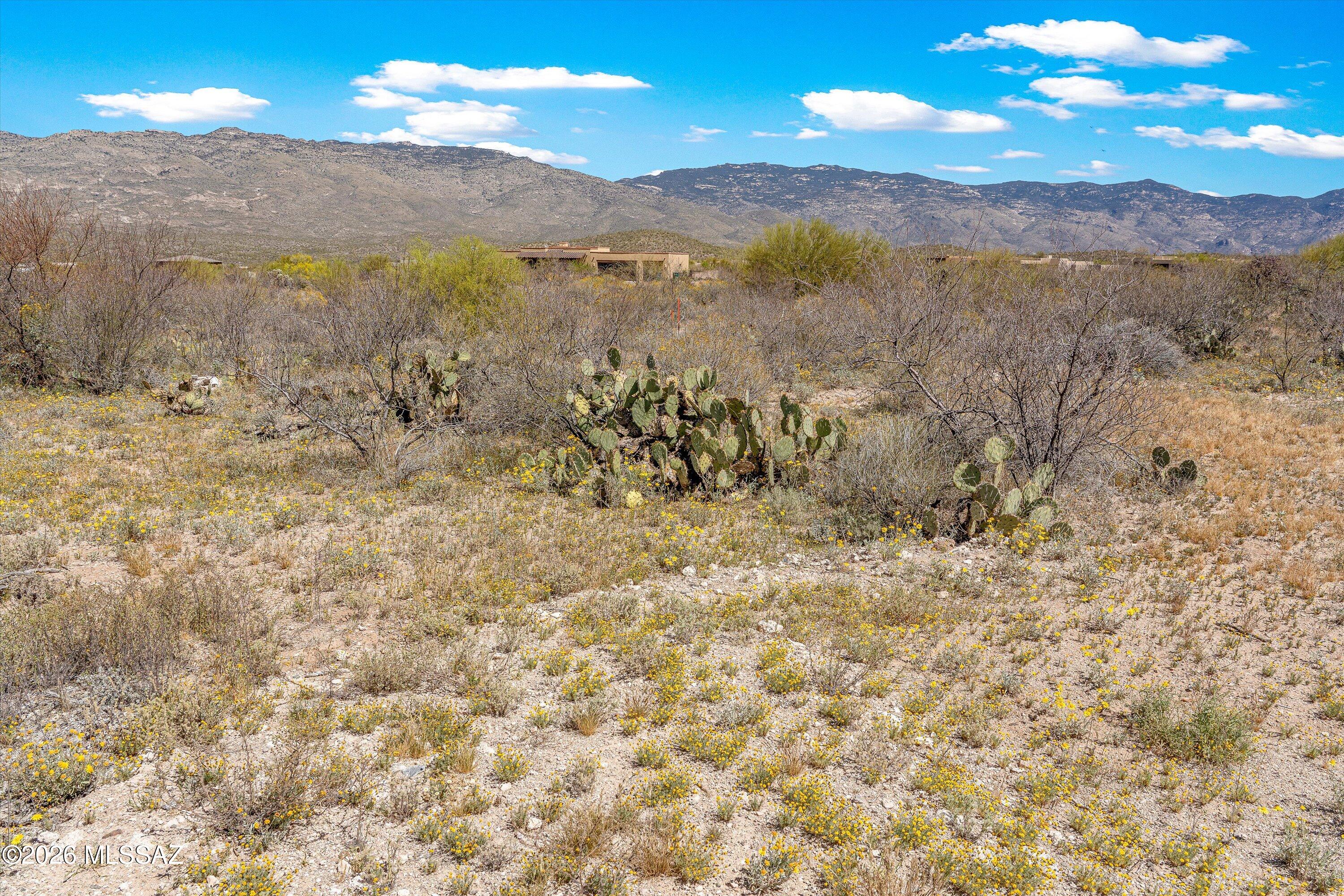 Coyote Creek (1-395) - Land