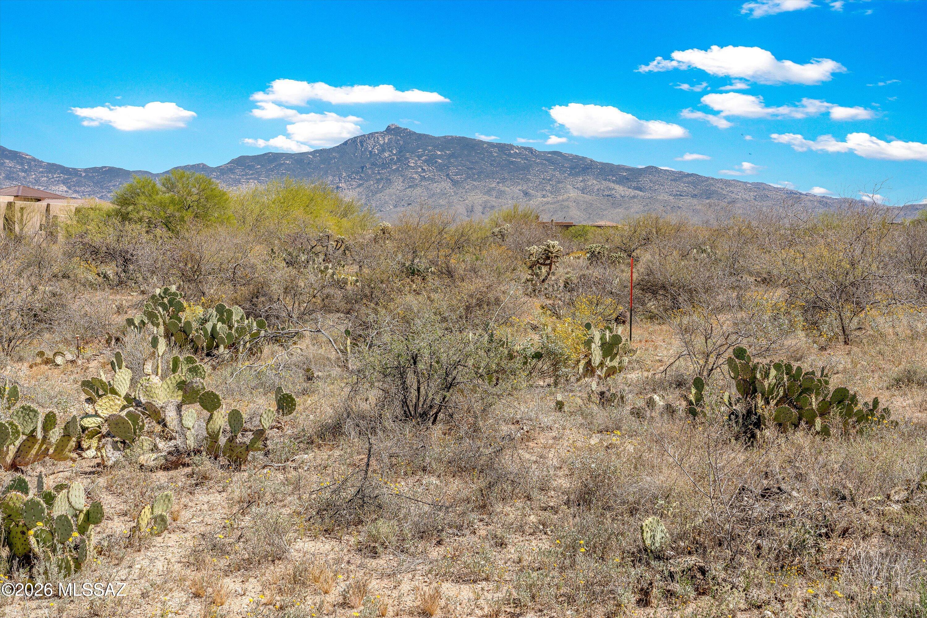 Coyote Creek (1-395) - Land