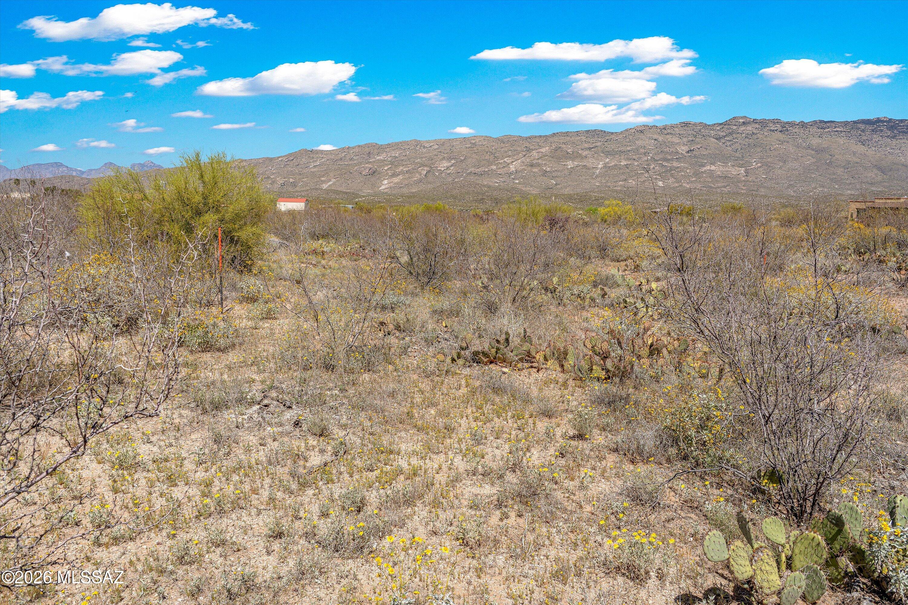Coyote Creek (1-395) - Land