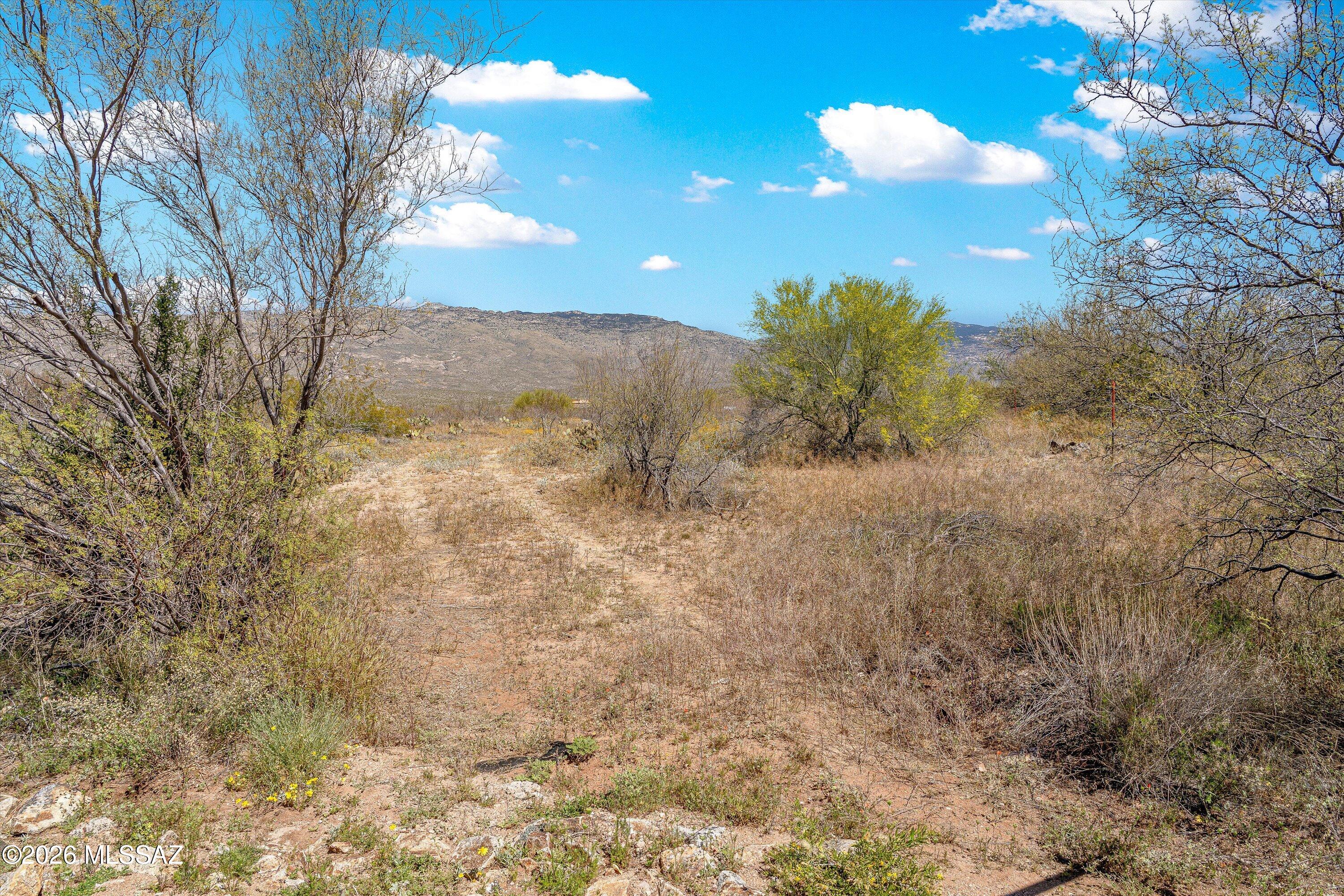 Coyote Creek (1-395) - Land