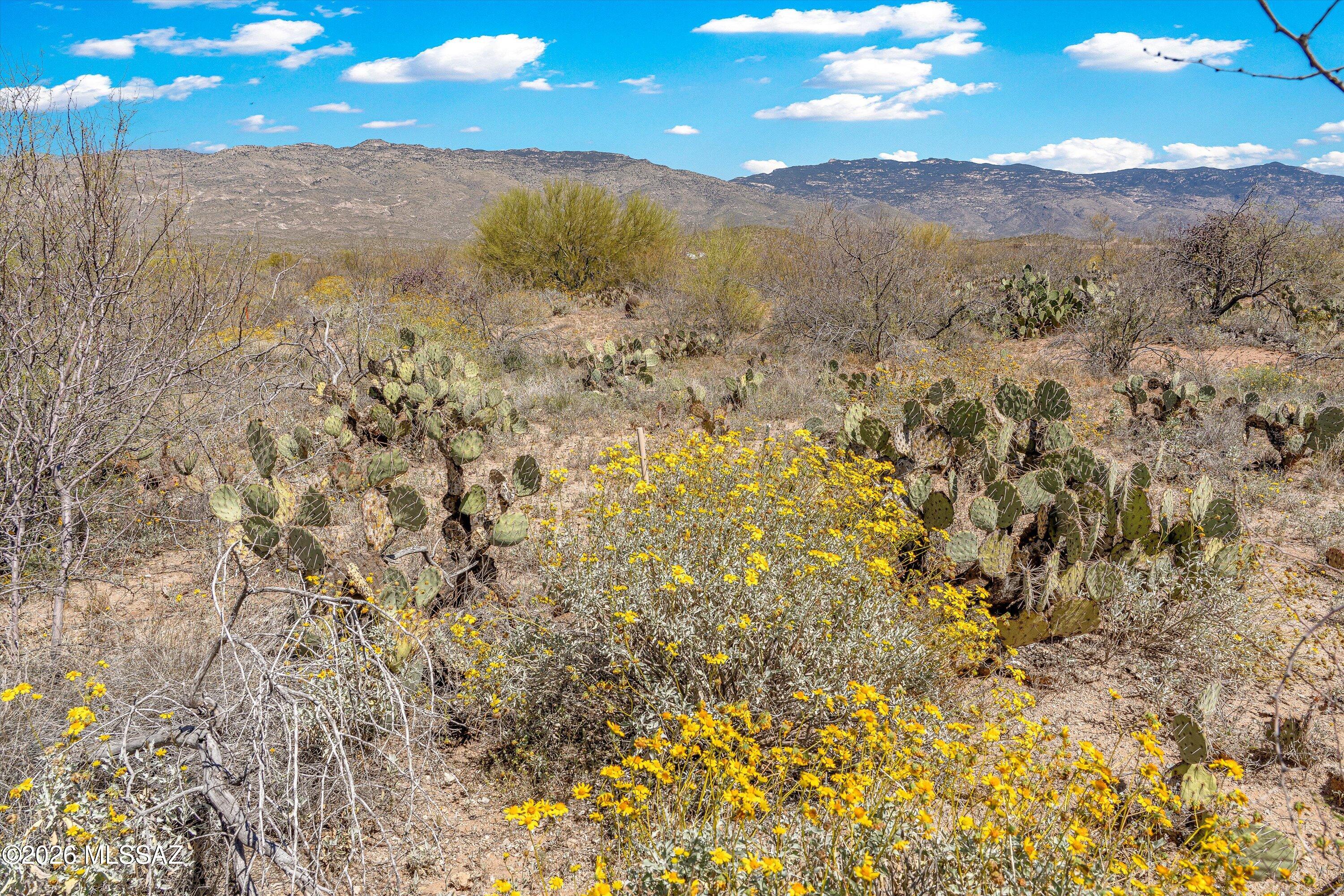 Coyote Creek (1-395) - Land