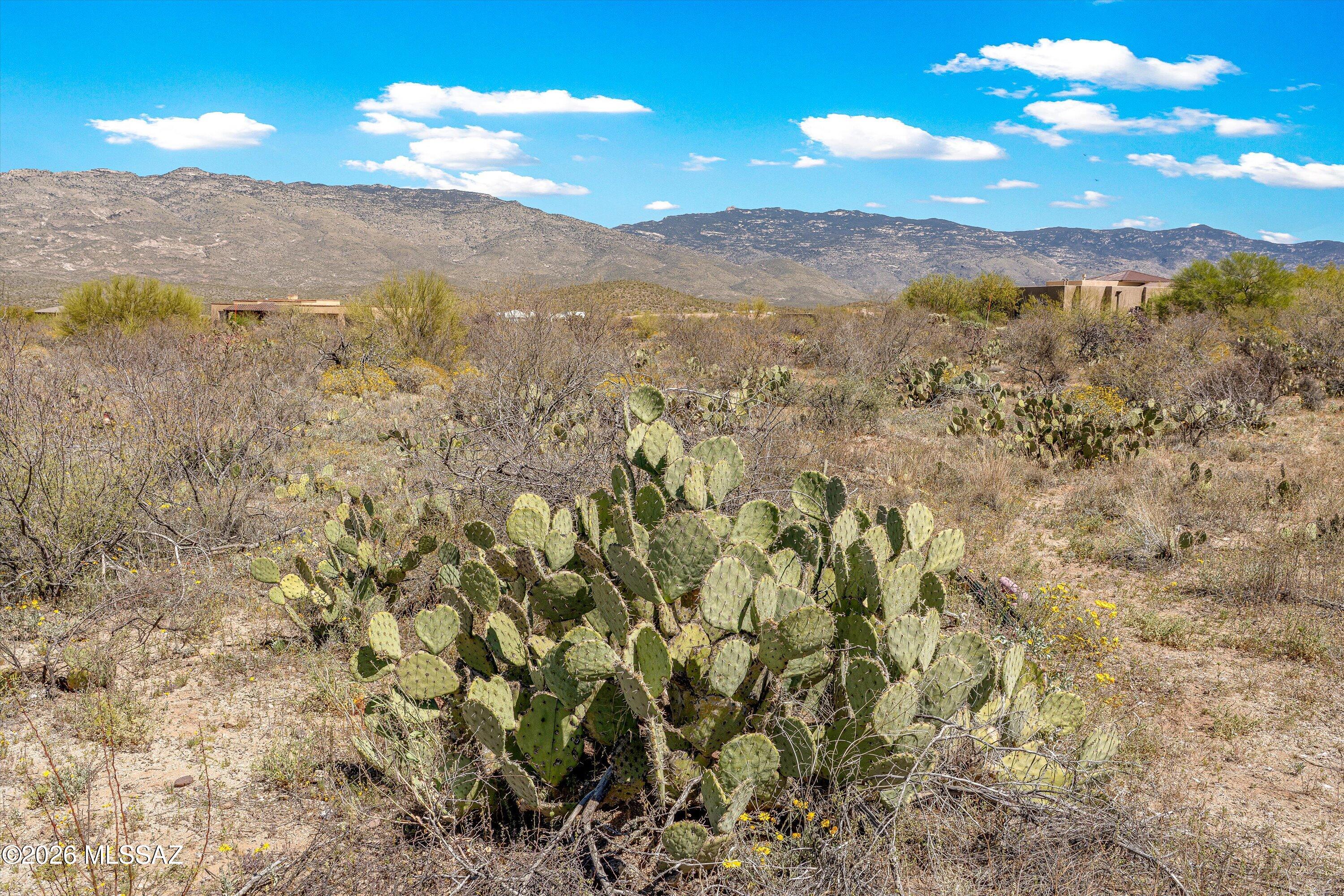 Coyote Creek (1-395) - Land