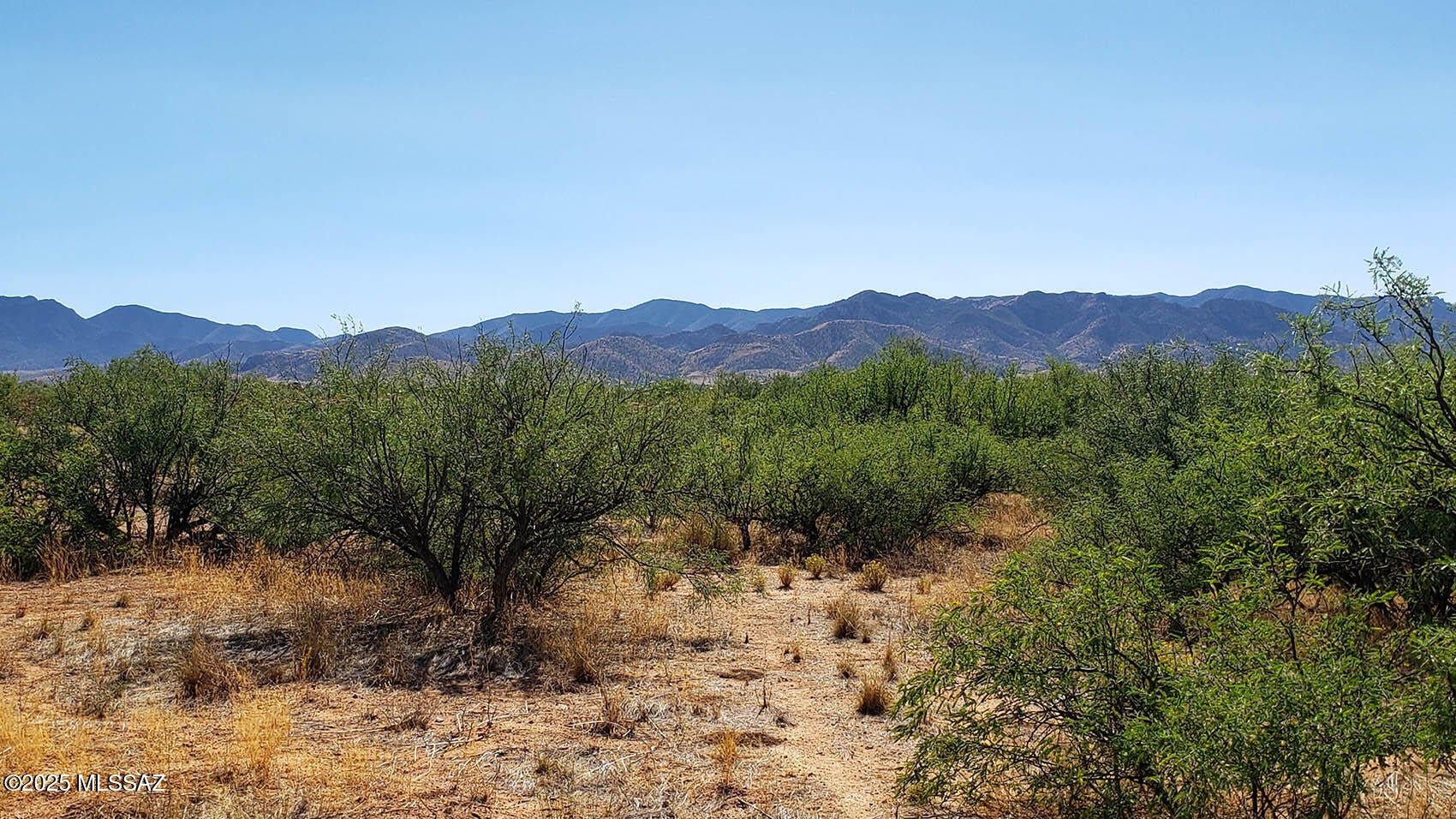Arizona Sun Sites - Land