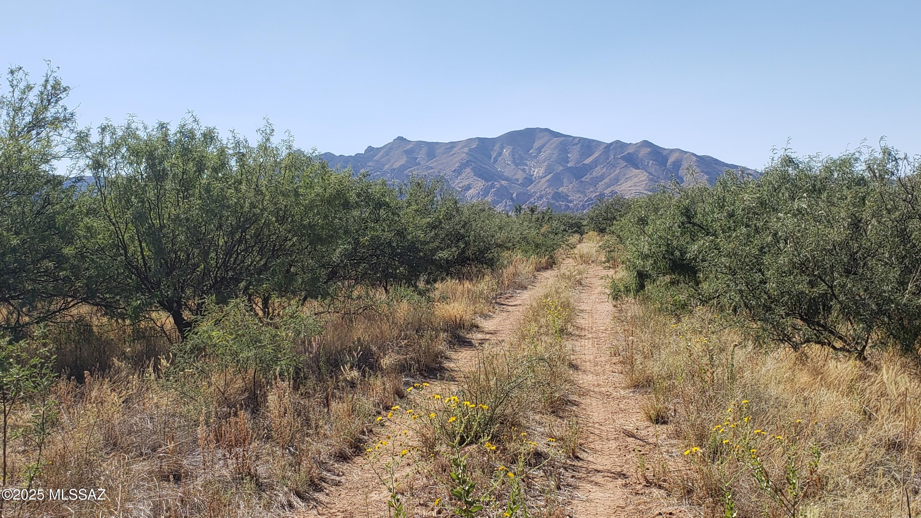 Arizona Sun Sites - Land