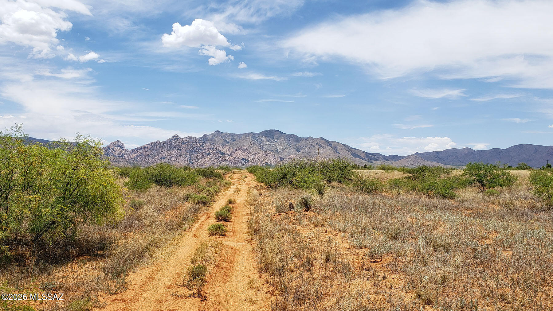 Awesome views, power nearby and easy access from this 0.83 acre Sunsites Unit 4 lot. Just a few hundred feet from the pavement on Ironwood Rd. via county-maintained Willcox Rd. for ingress/egress that won't beat up your vehicle. A straight shot to Sunsites for amenities or to Cochise Stronghold for hiking & relaxation. Plenty of development potential with flat topography and open space. Zoned SR-22, Cochise County. Site-built homes only preserves value & pride of ownership in the neighborhood. Drill well or haul water. Power is a one-pole drop and high speed fiber is available from Willcox Rd. Enjoy panoramic vistas out into the valley and the nearly 360 degrees of surrounding mountain ranges. Begin building your country retreat here today!