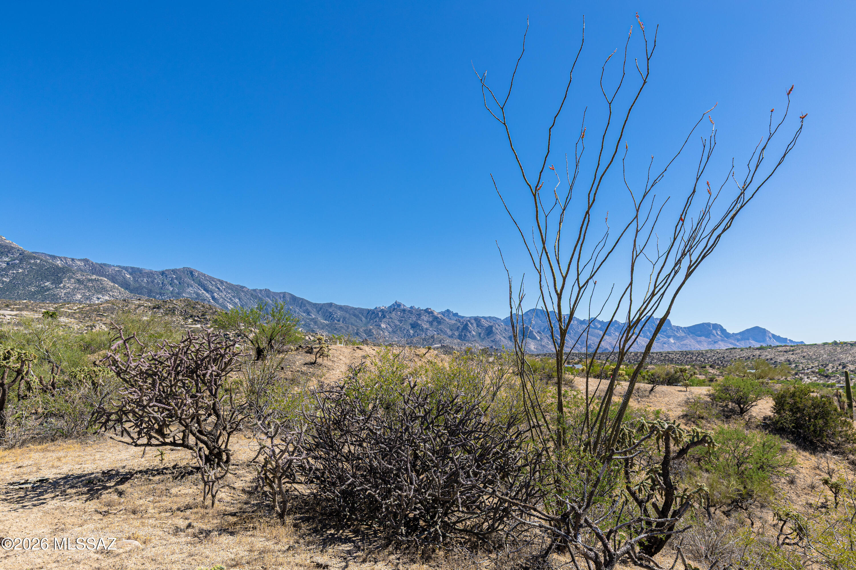 Enjoy SENSATIONAL panoramic views from this 1.07 acre hilltop lot! The Catalina Mountains seem so close that it almost feels like you could reach out and touch them. Additional vistas of the CDO valley, and Tortolita Mountains provide excellent view corridors in pretty much every direction. A negative edge pool built on this lot would have an epic view! While site work will be necessary to create a building pad, the nearby land has proven to be very easily shaped, so cost should be relatively minimal. Electric and water are available nearby AND the adjacent lot can be purchased for even more privacy & land. A peaceful setting, yet nearby to shopping, restaurants, hiking & biking trails, and much more! Call today for more information or to schedule a tour.
