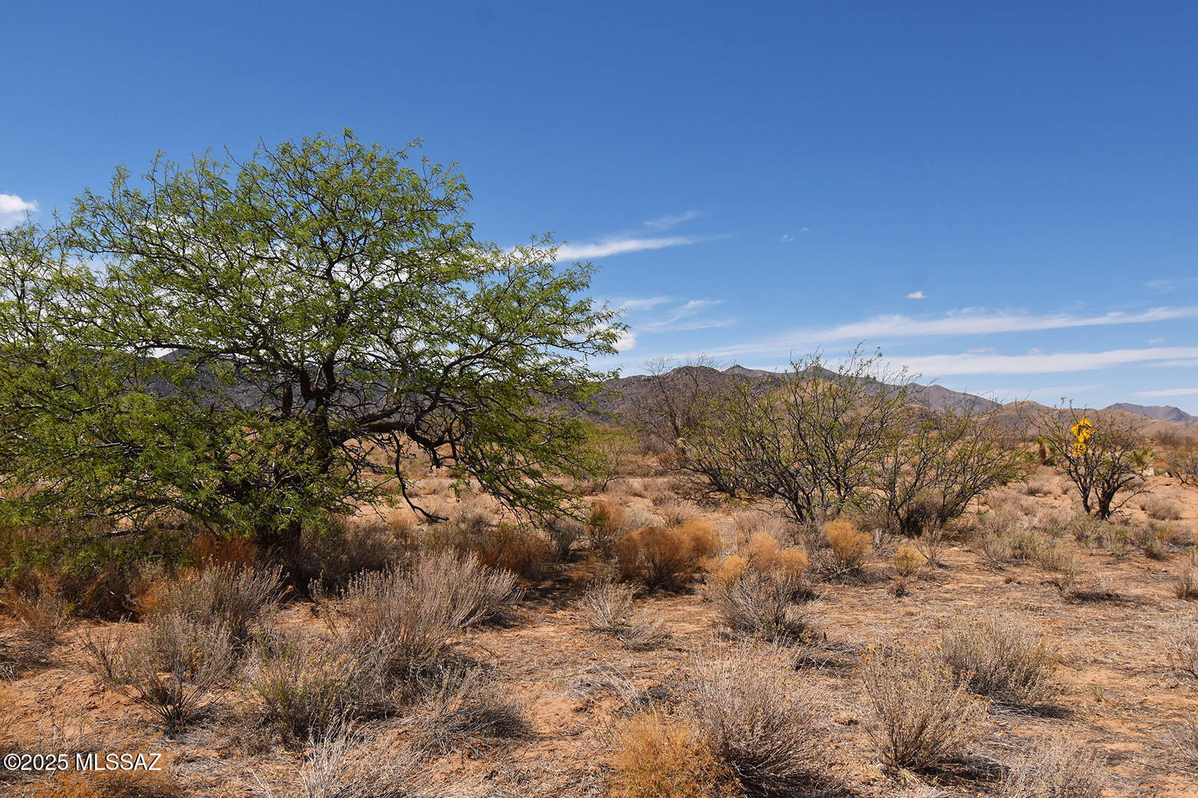 Arizona Sun Sites - Land