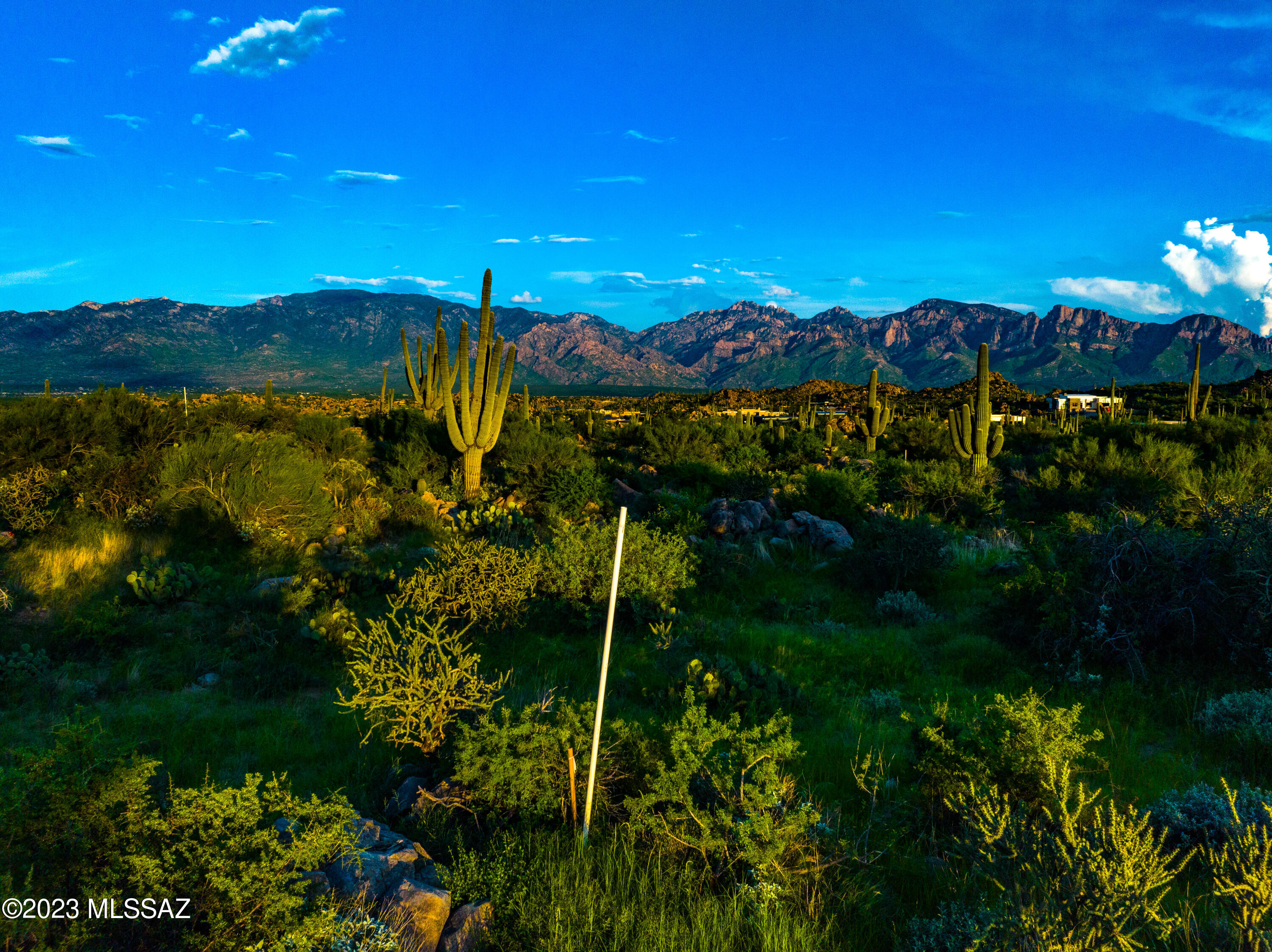 Stone Canyon VII (404-485) - Land