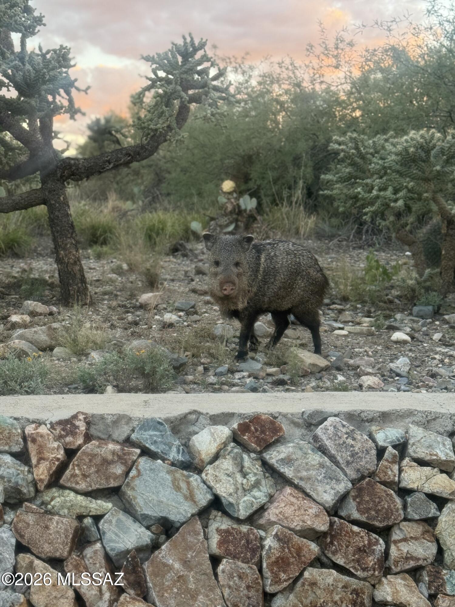 Sycamore Canyon (1-485) - Residential