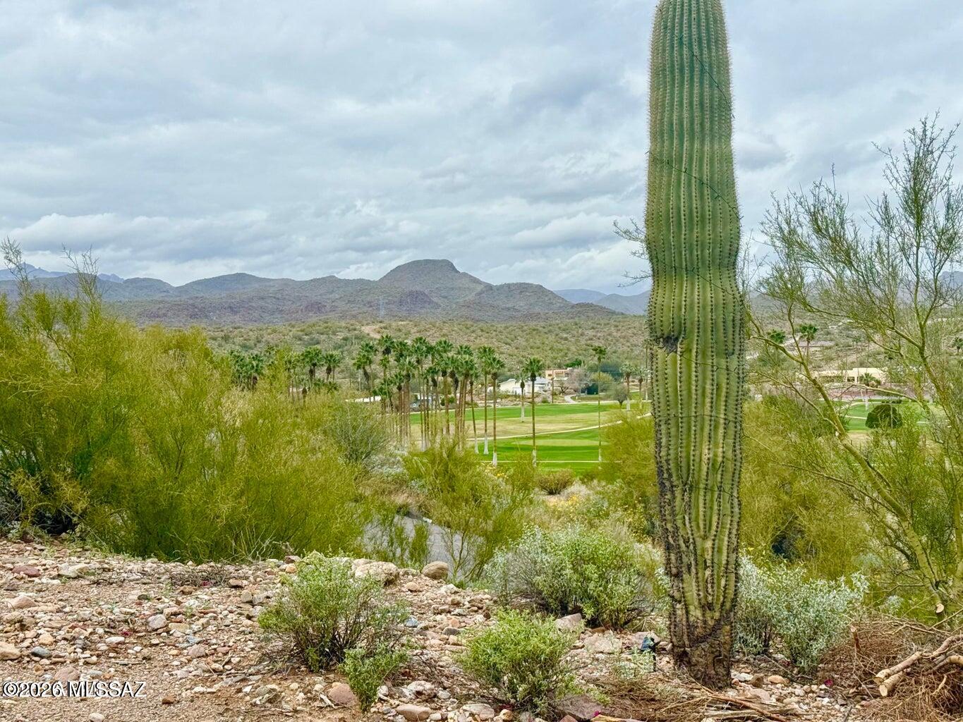 Out Of Pima County - Land