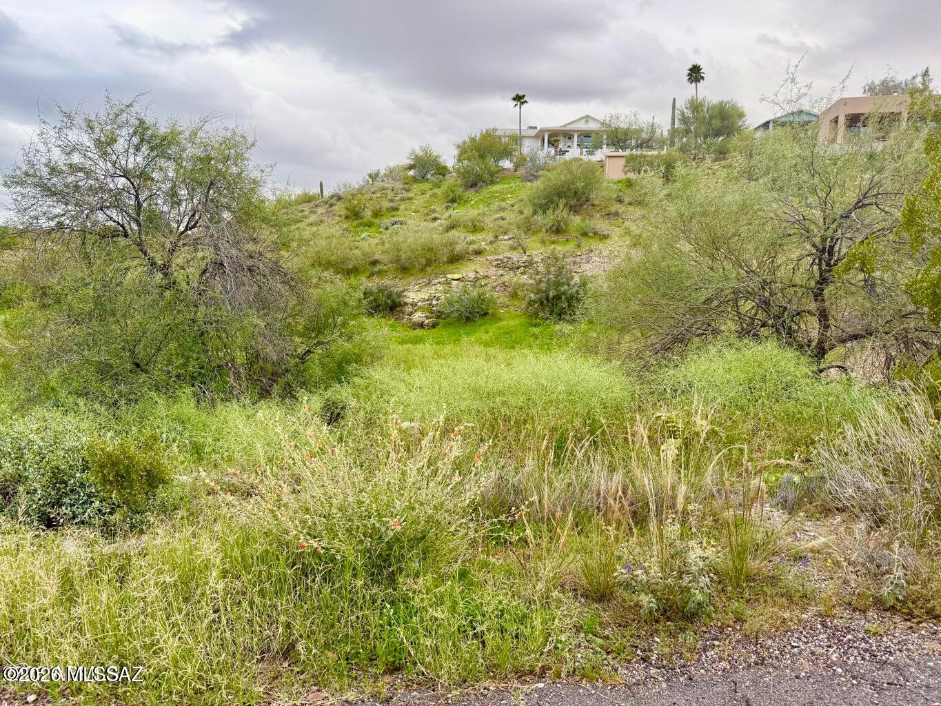 Out Of Pima County - Land