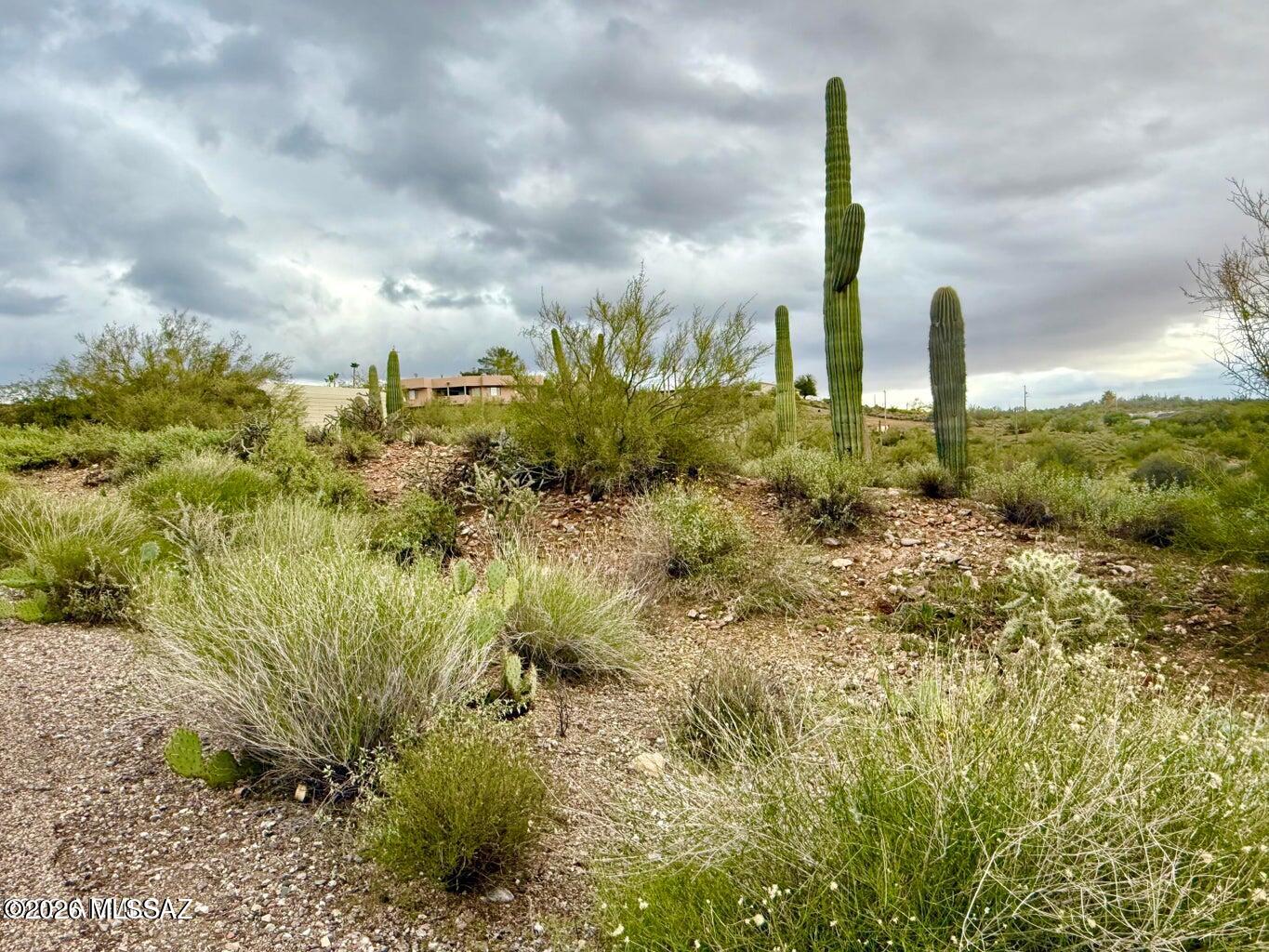 Out Of Pima County - Land