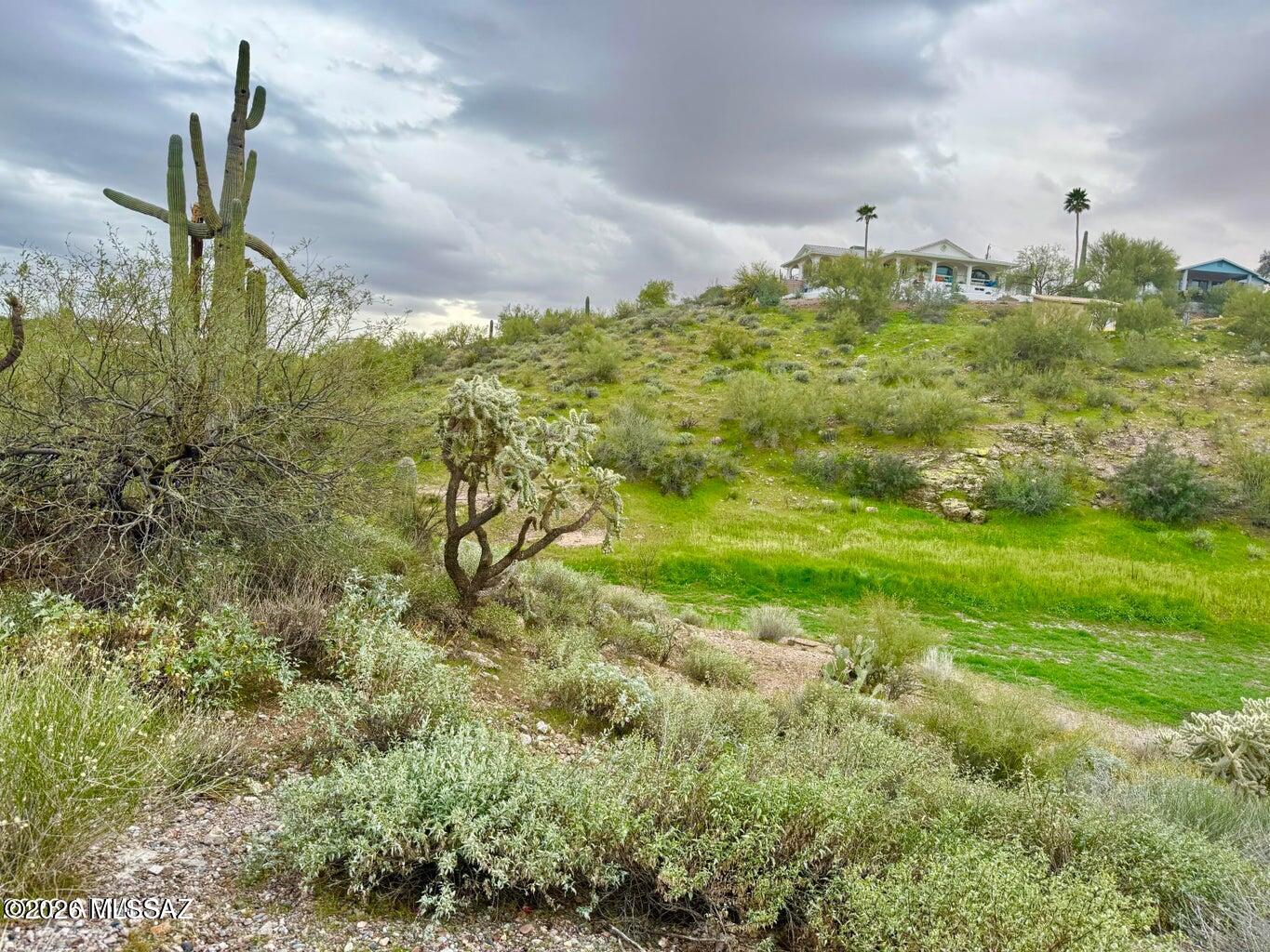 Out Of Pima County - Land