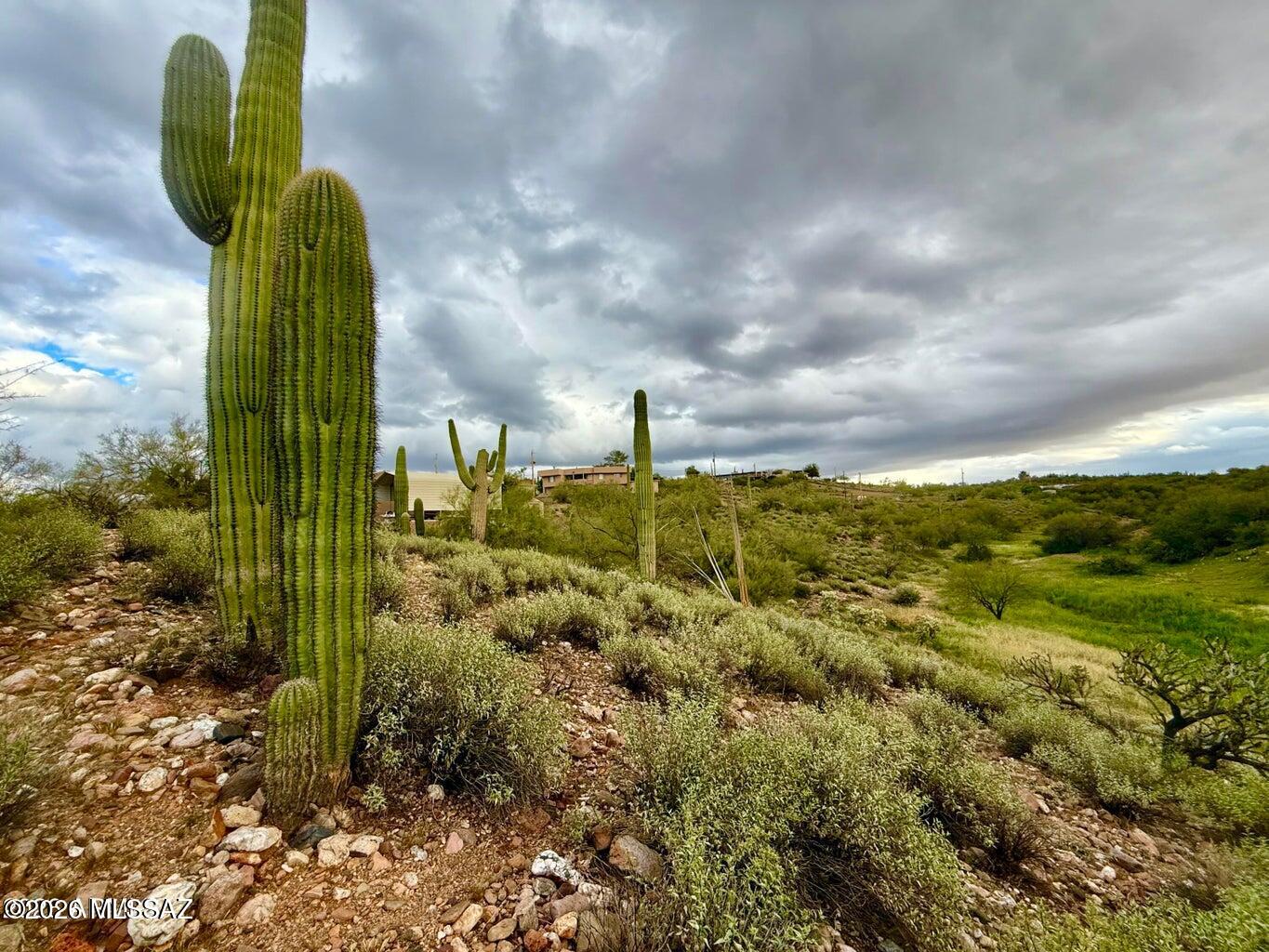 Out Of Pima County - Land