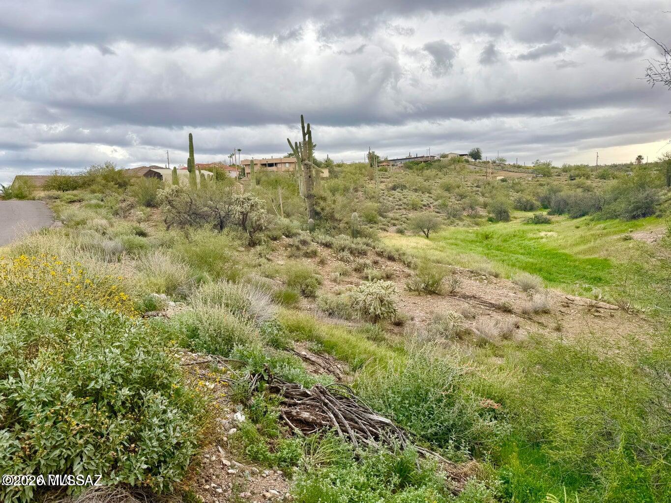 Out Of Pima County - Land