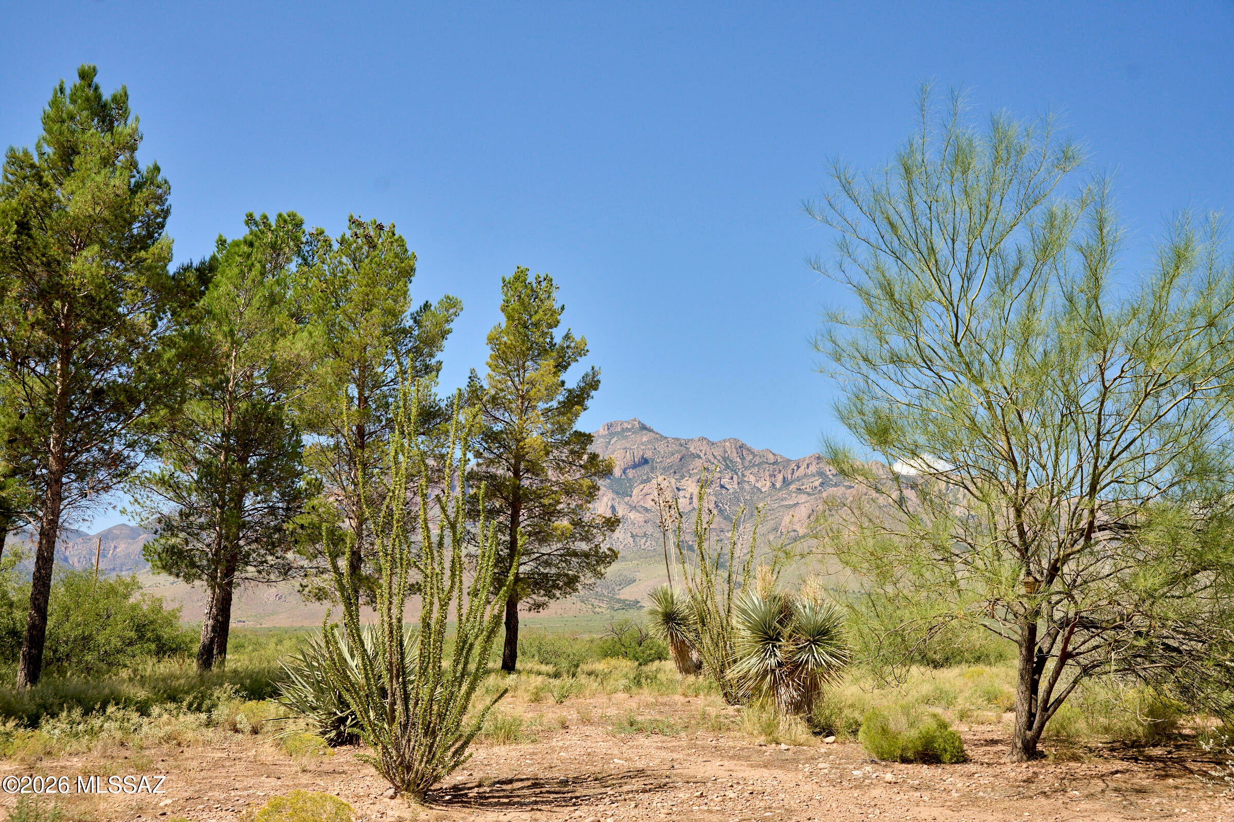 Out Of Pima County - Residential